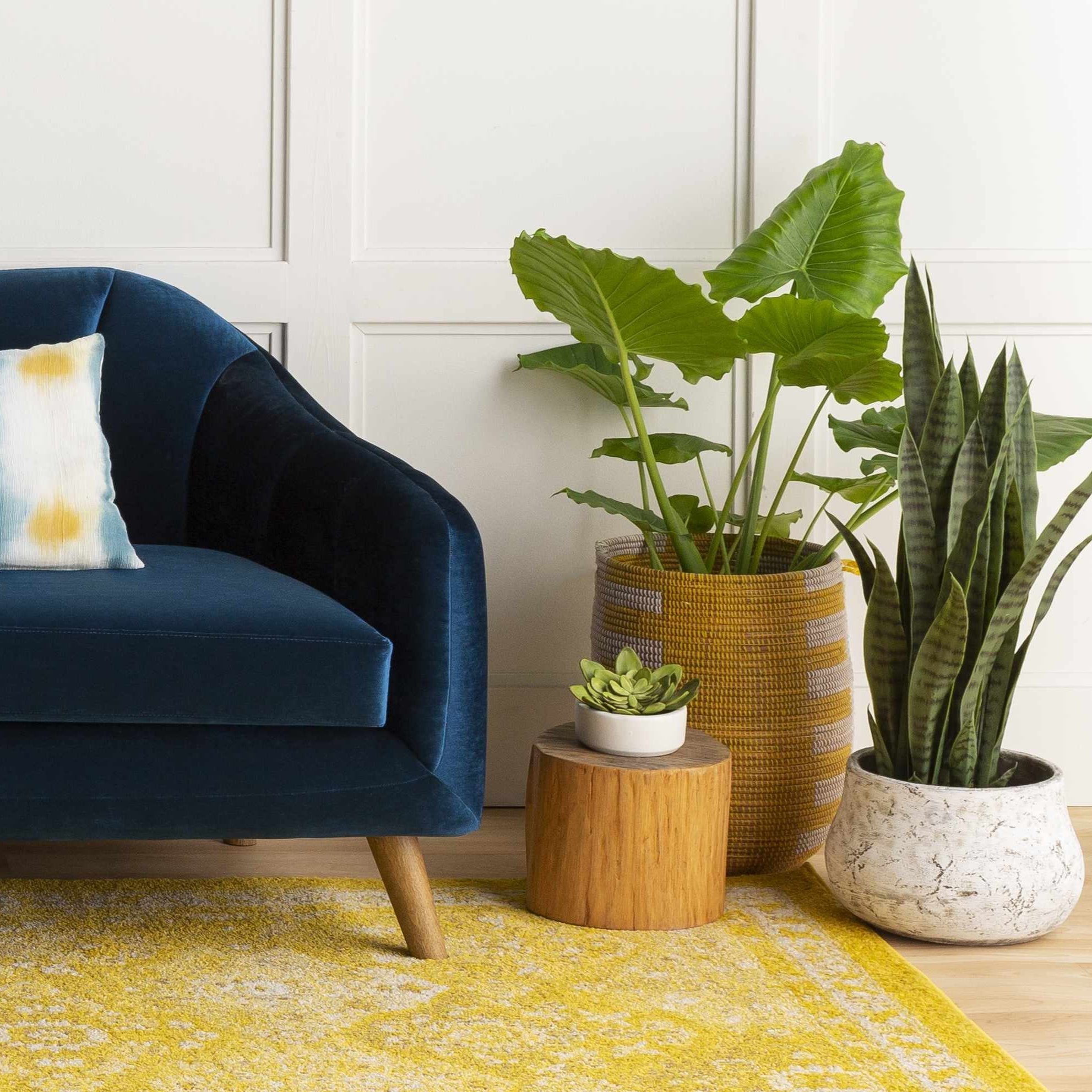 Orehovica 12" Cement Planter-4