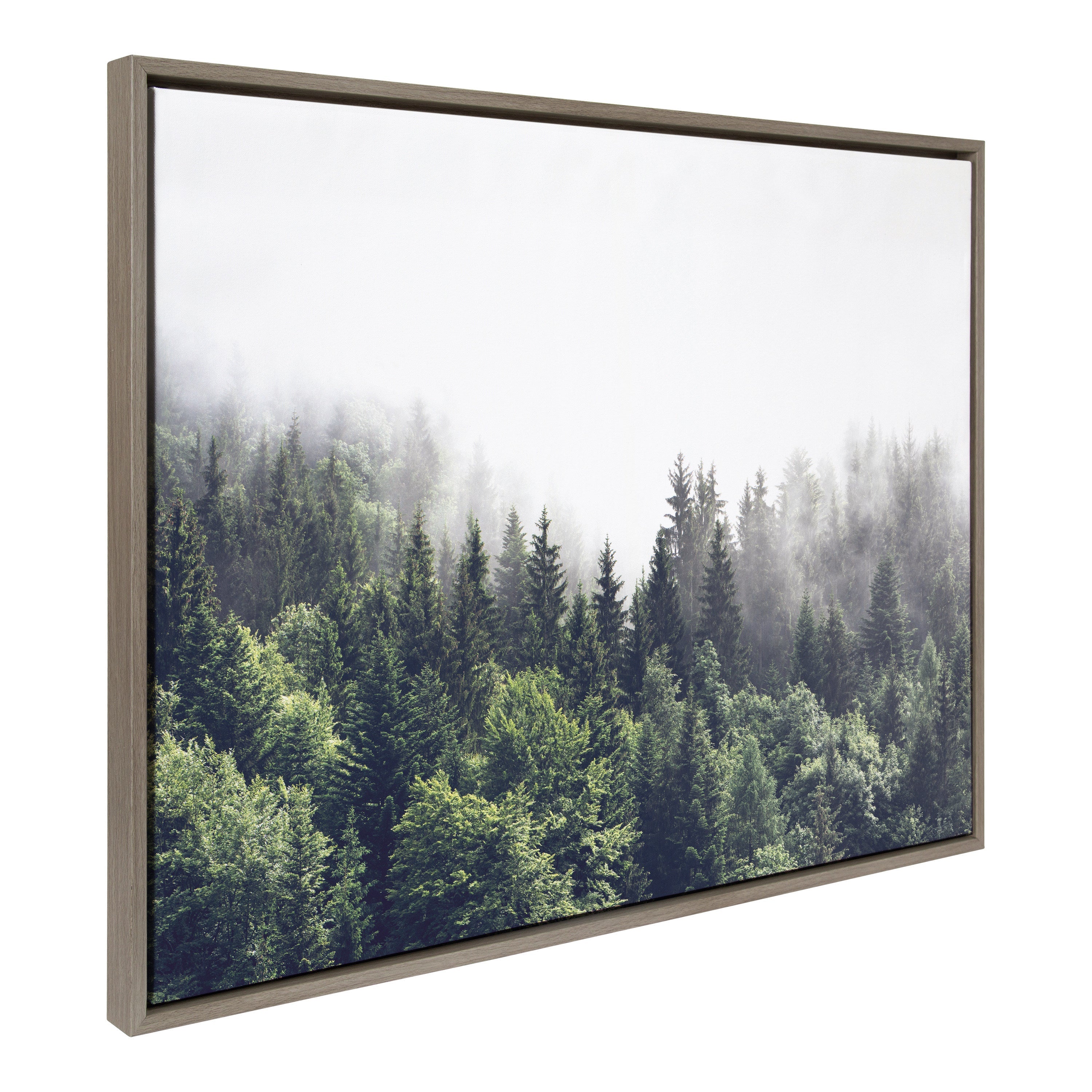 Sylvie Lush Green Forest On A Foggy Day Framed Canvas by The Creative Bunch Studio