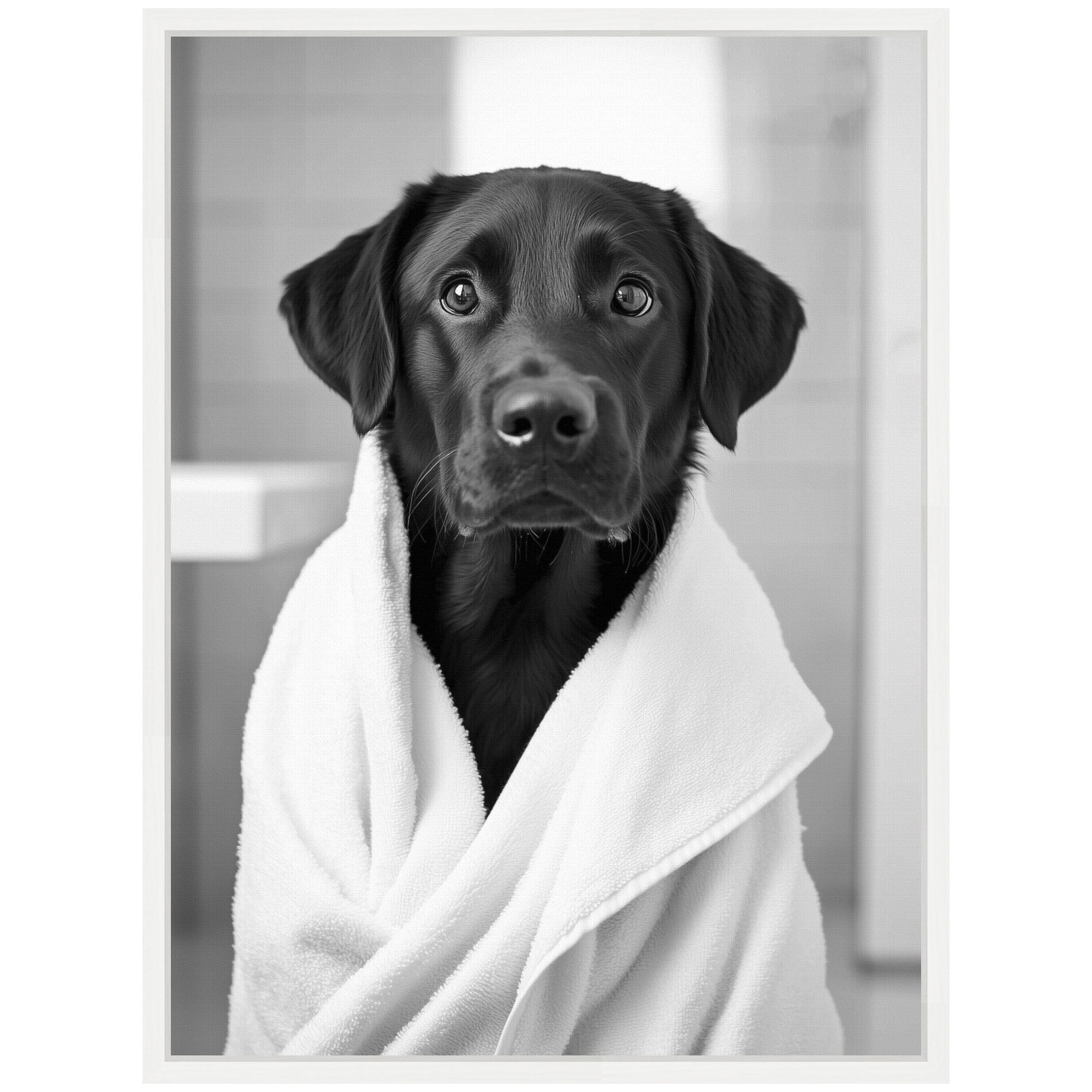Sylvie Black Lab Bathroom Art Towel Robe Black and White Framed Canvas by The Creative Bunch Studio