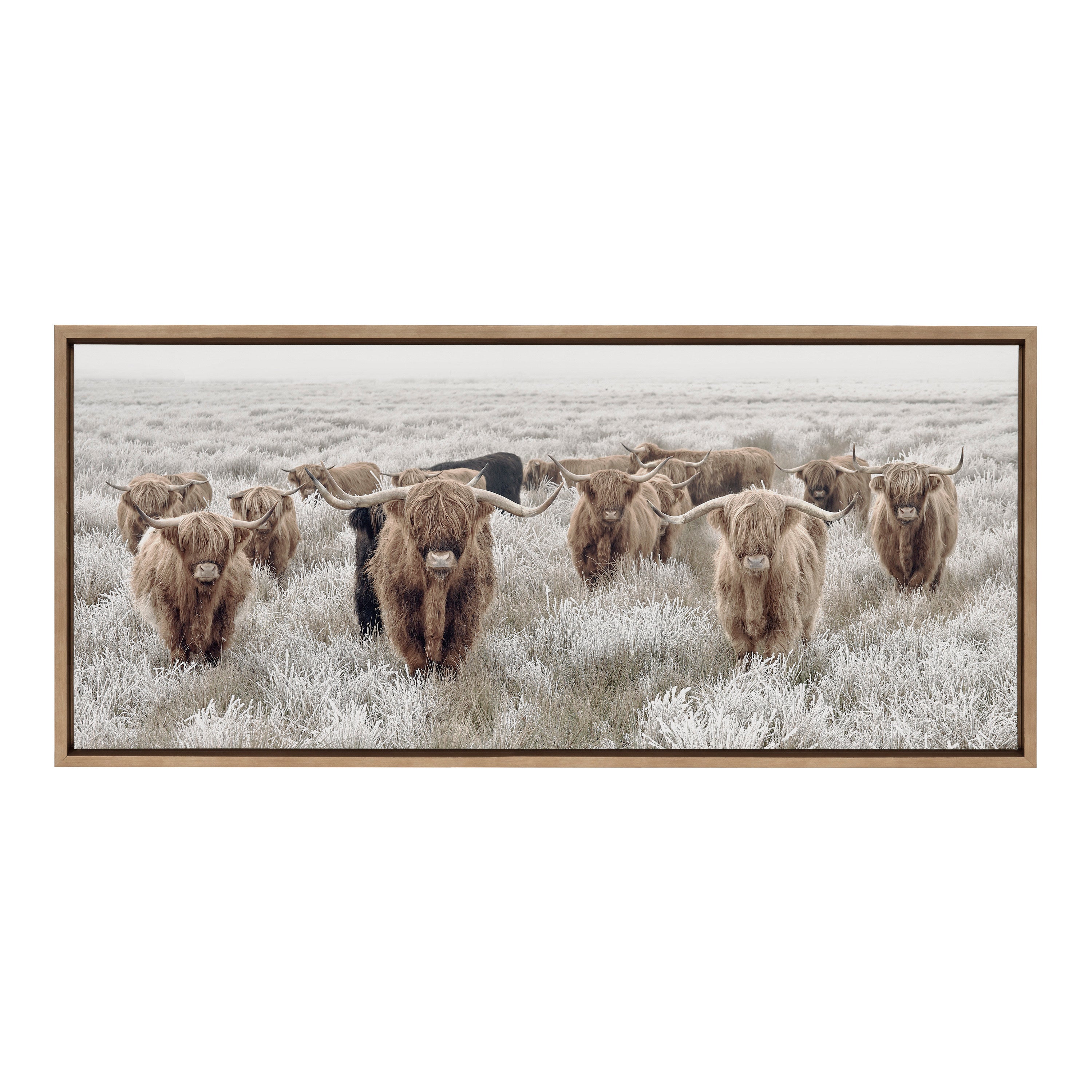 Sylvie Herd of Highland Cows Color Framed Canvas by The Creative Bunch Studio
