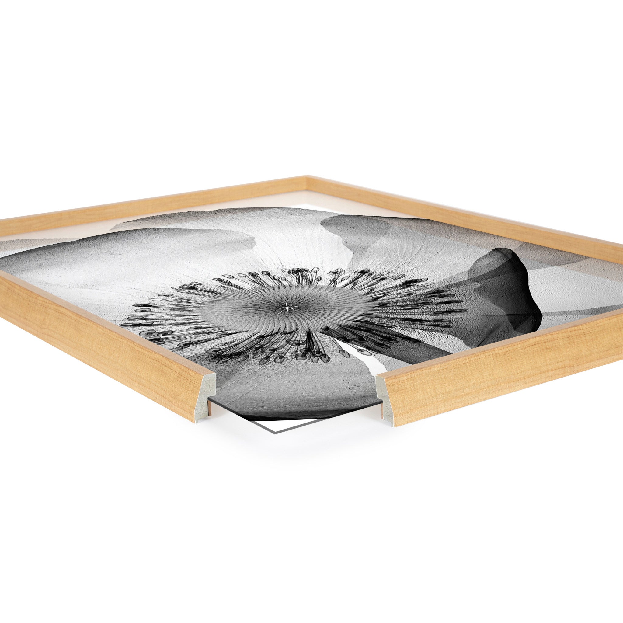 Blake Poppy X Ray Floral 2 BW Framed Printed Art by The Creative Bunch Studio