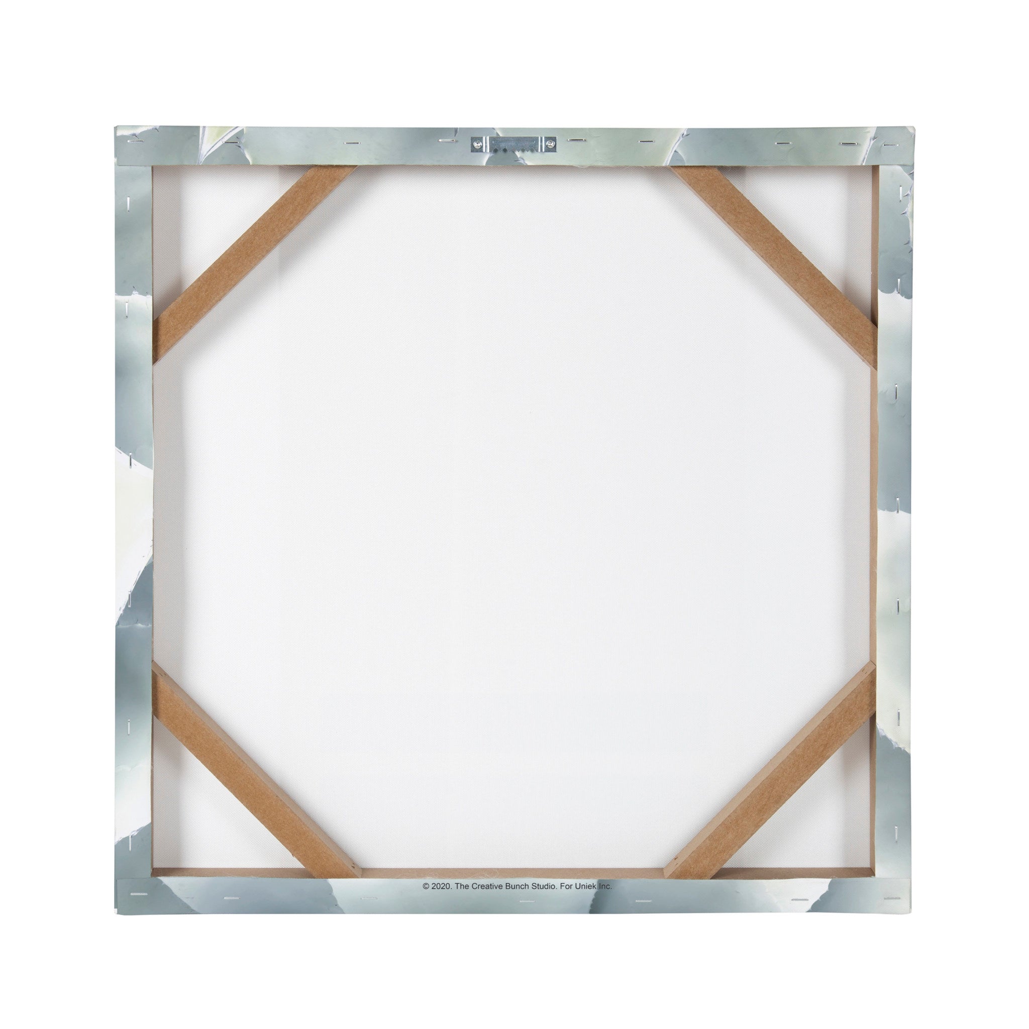 Soft Botanical Succulents by The Creative Bunch Studio