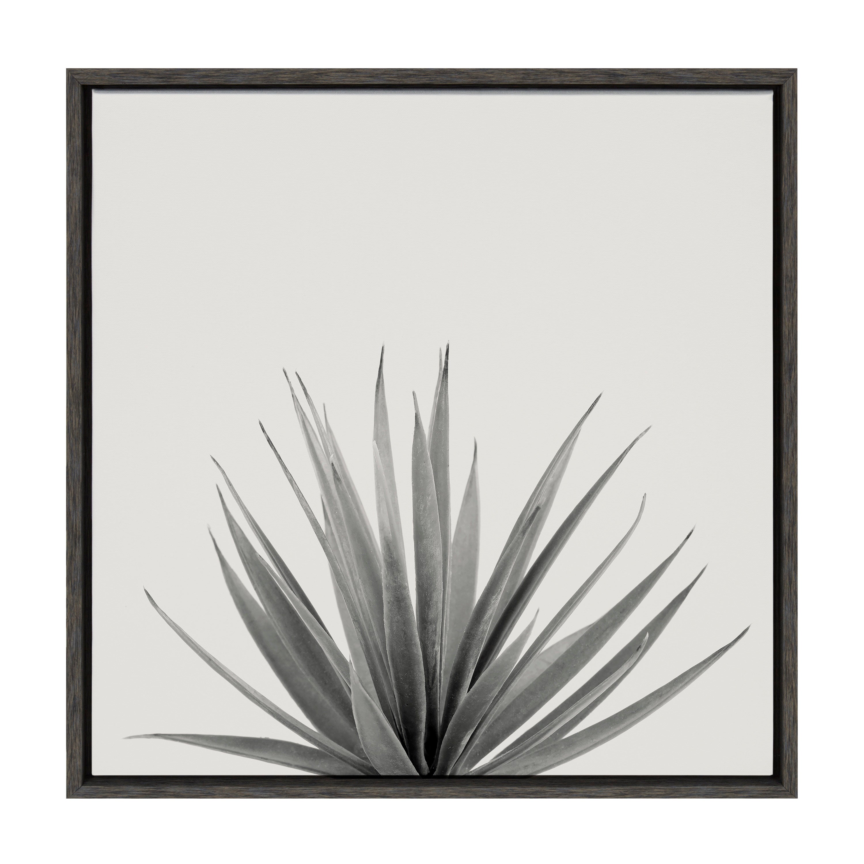 Sylvie Haze Agave Succulent Framed Canvas by The Creative Bunch Studio