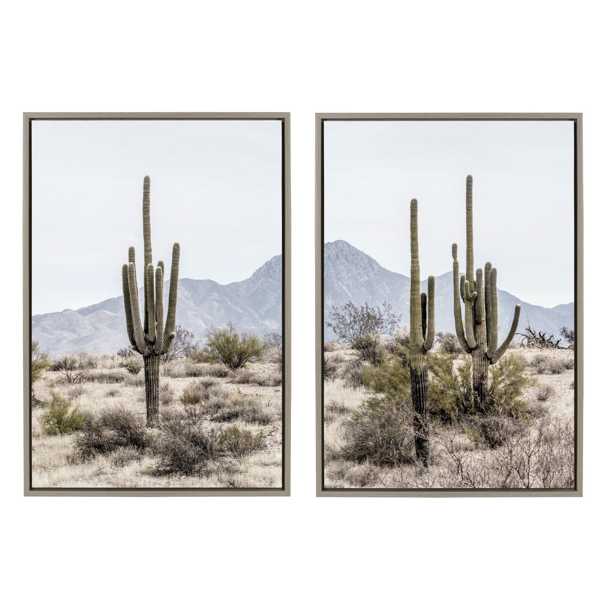 Sylvie Tall Saguaro Cacti Desert Mountain 1 and 2 Framed Canvas by The Creative Bunch Studio