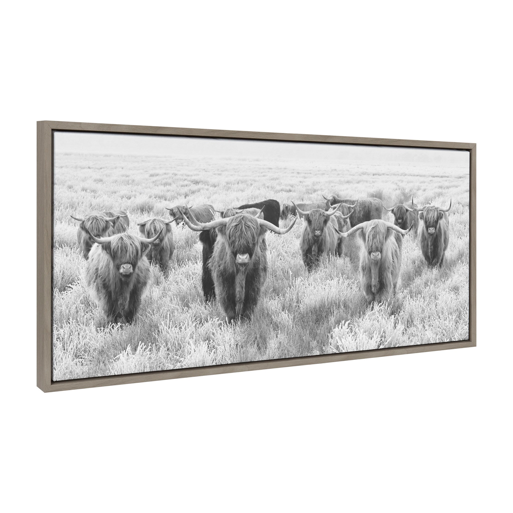 Sylvie Herd of Highland Cows Black and White Framed Canvas by The Creative Bunch Studio