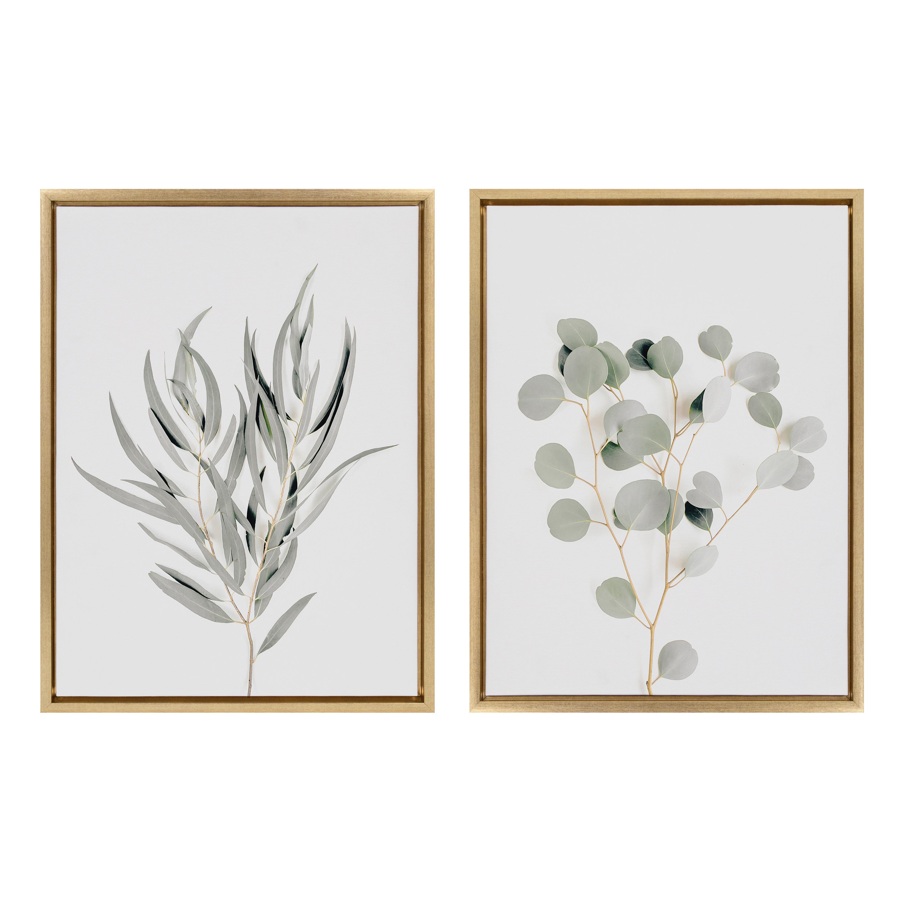 Sylvie Neutral Botanical 1 and 2 Framed Canvas Set by The Creative Bunch Studio