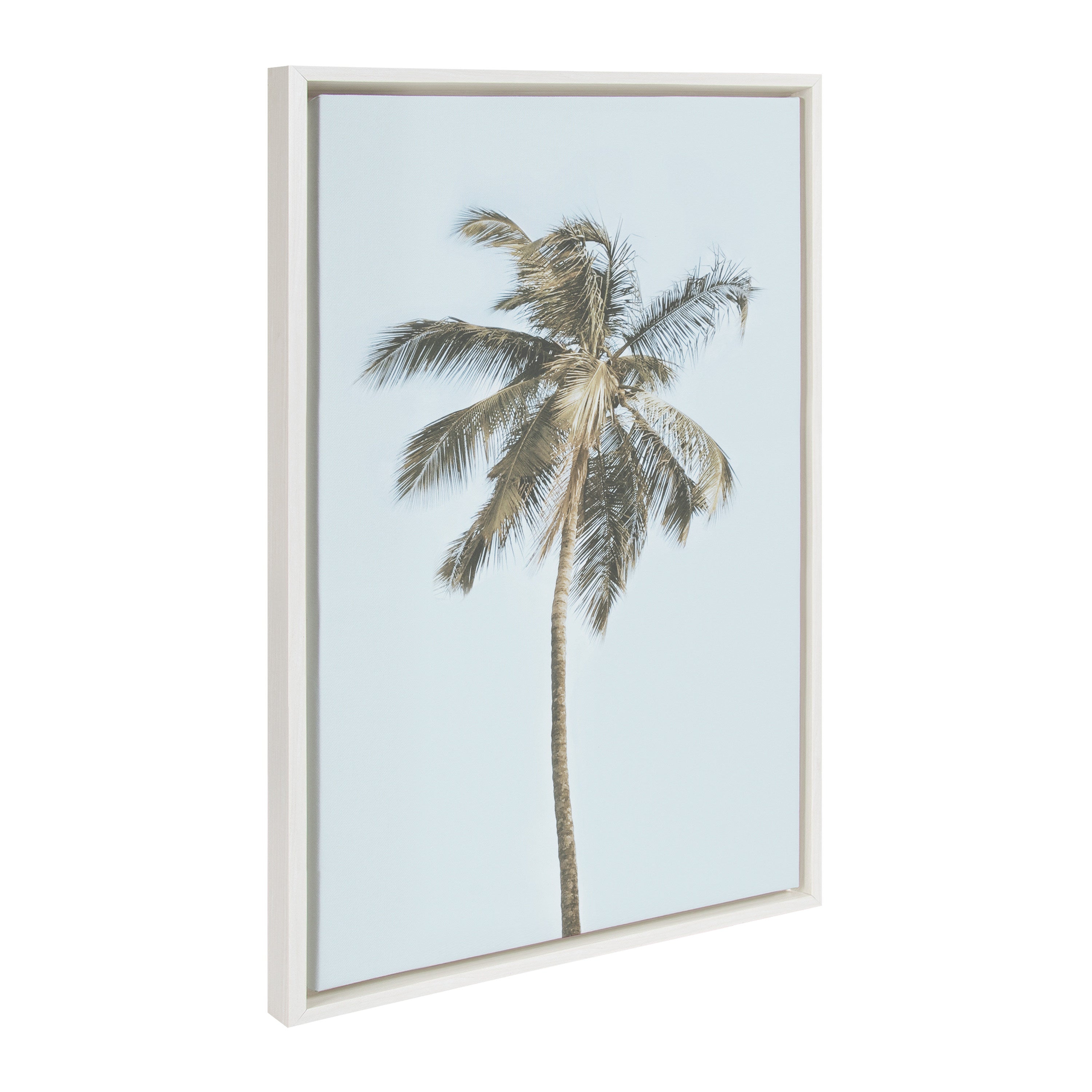 Sylvie One Coconut Palm Tree Framed Canvas by The Creative Bunch Studio