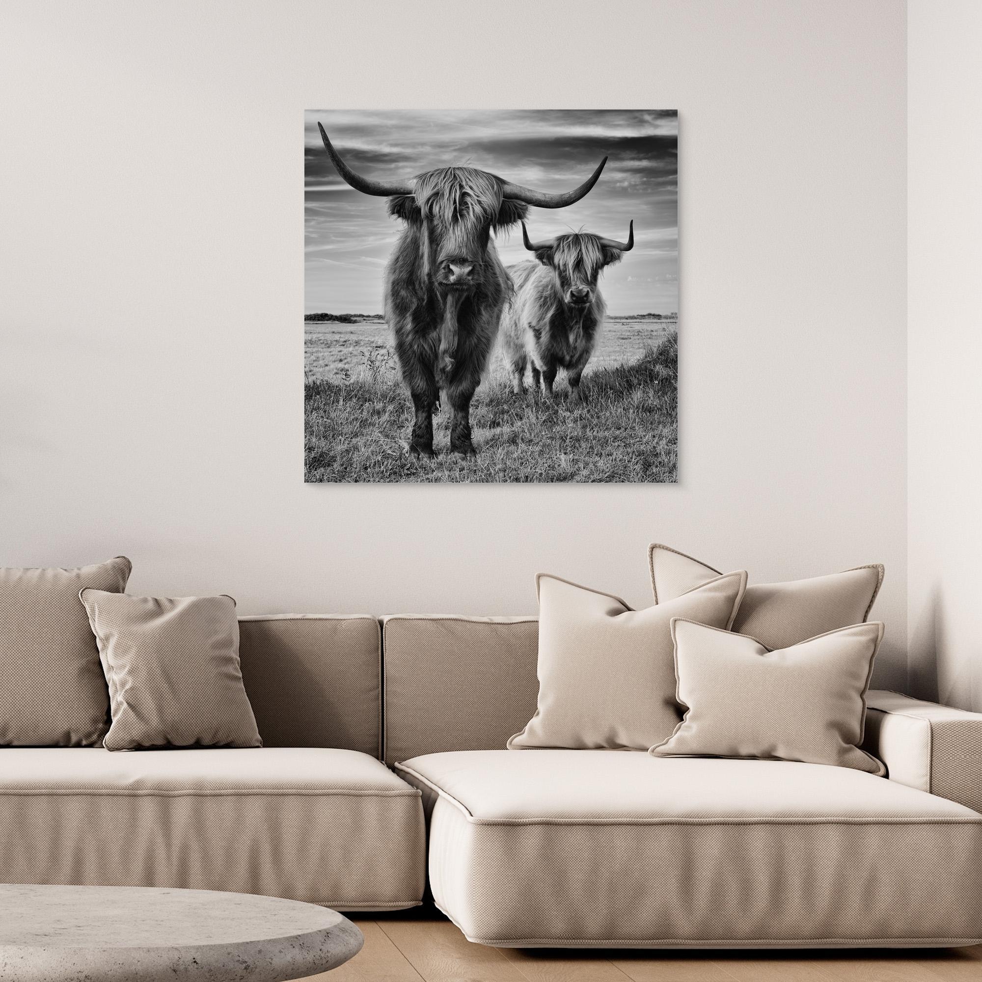 Highlands by Stéphane Pecqueux - PRHOMZ