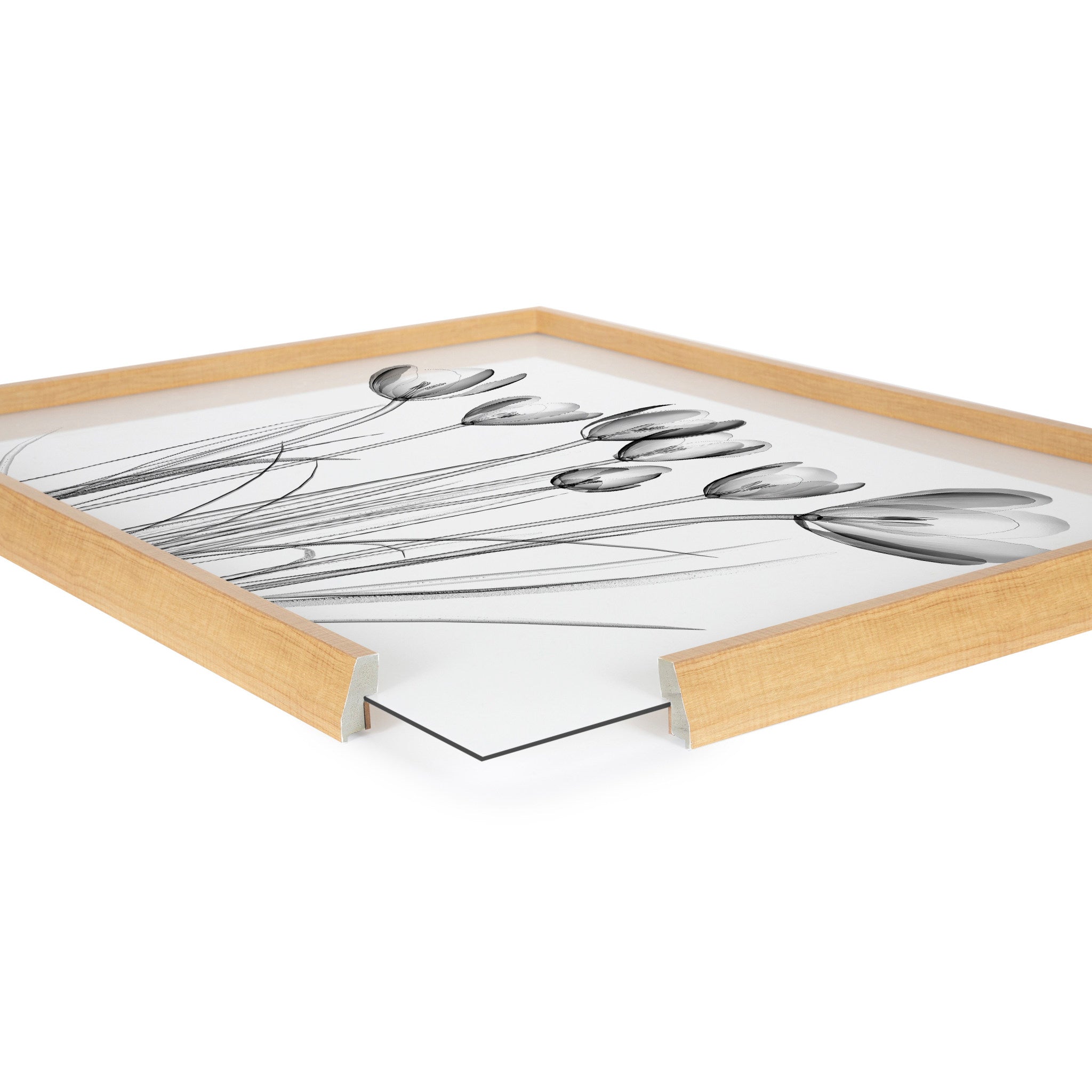 Blake Crocus X Ray Floral BW Framed Printed Art by The Creative Bunch Studio