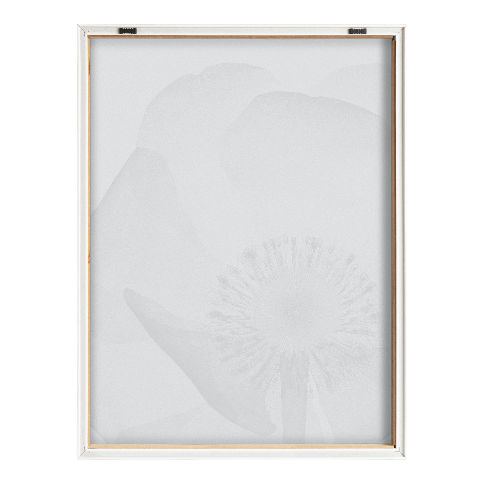 Blake Poppy X Ray Floral 2 BW Framed Printed Art by The Creative Bunch Studio