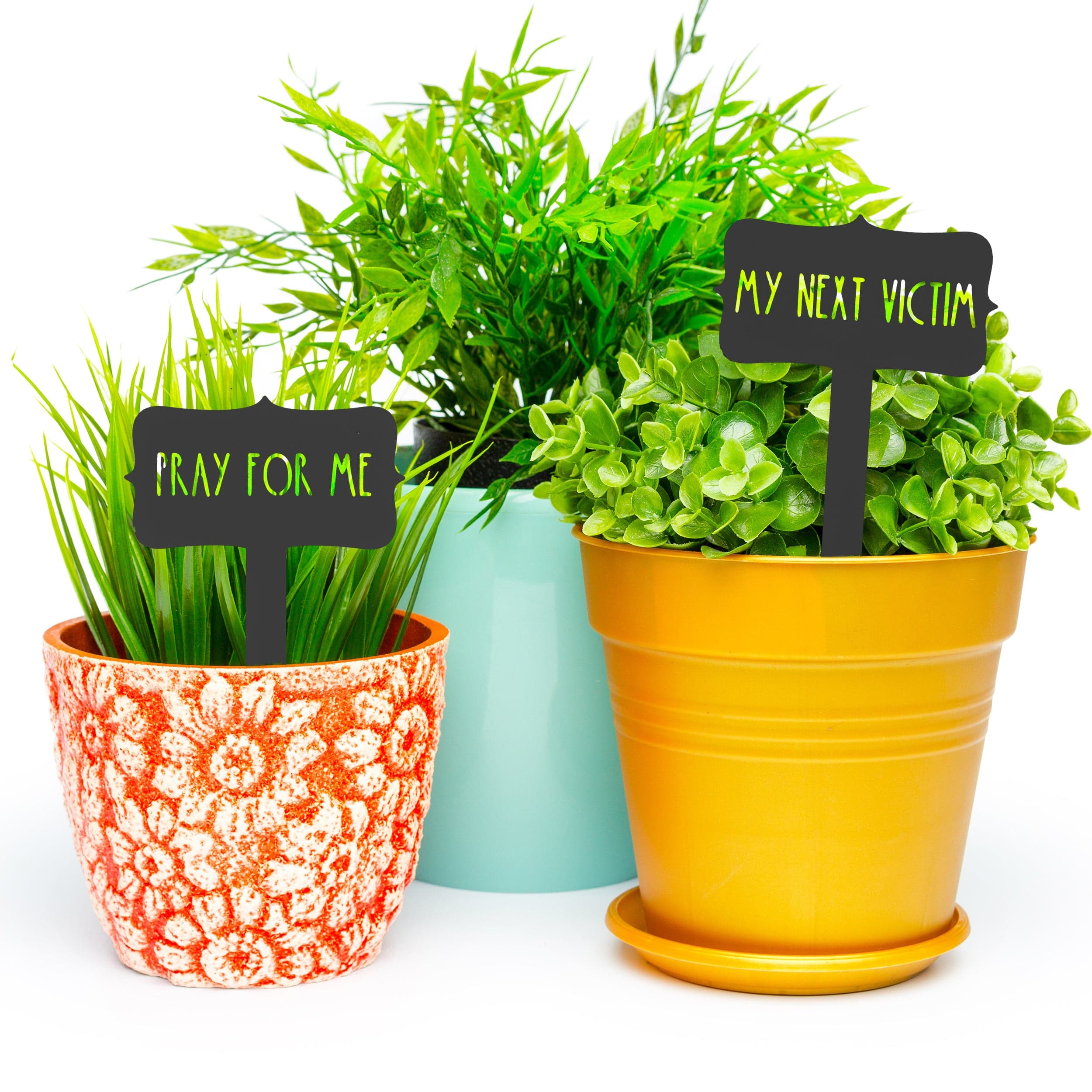 [COL] Humorous House Plant Stake 5 pack - House Plant Markers, Funny Plant Tags Steel Garden Stakes for Potted Plant - 16 options