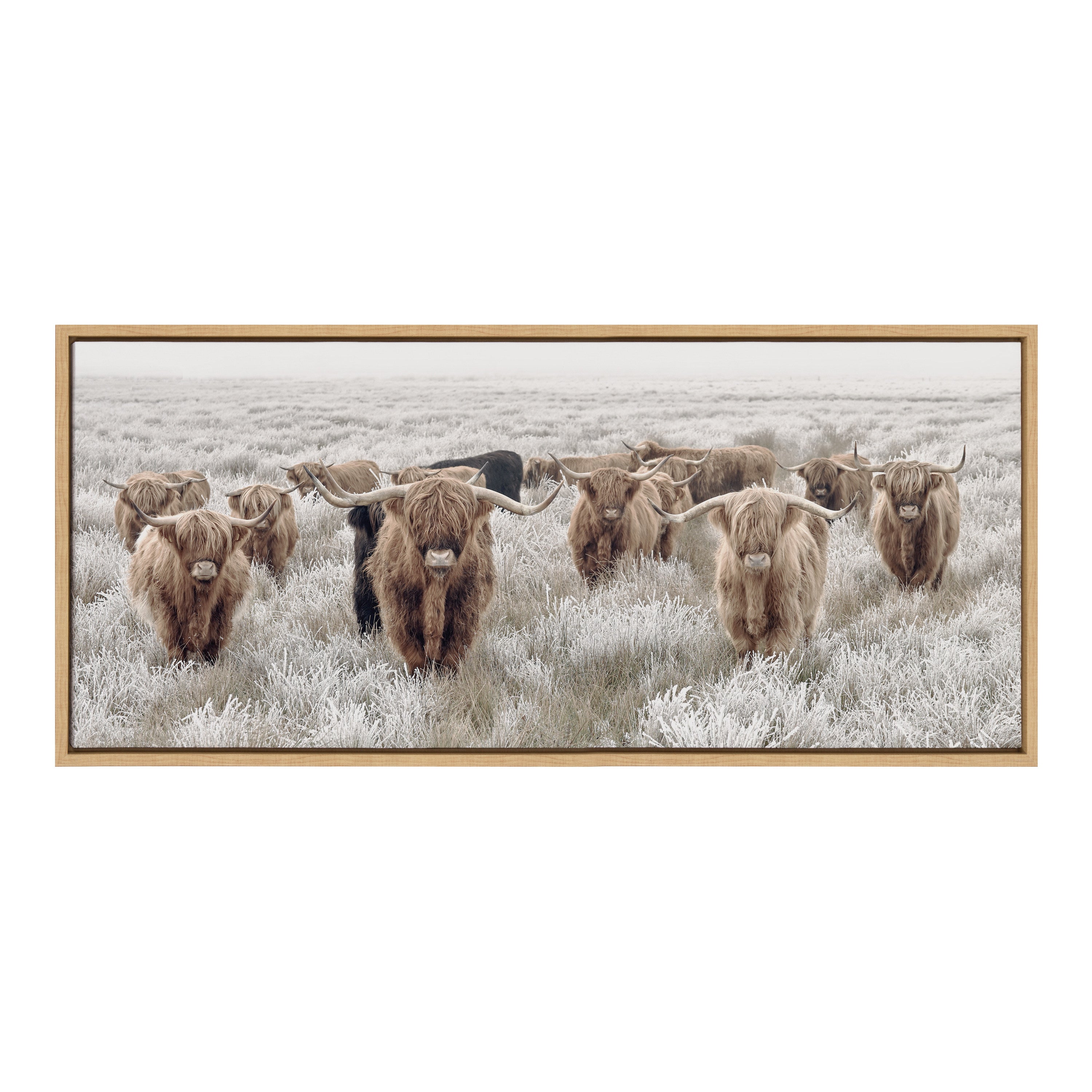 Sylvie Herd of Highland Cows Color Framed Canvas by The Creative Bunch Studio