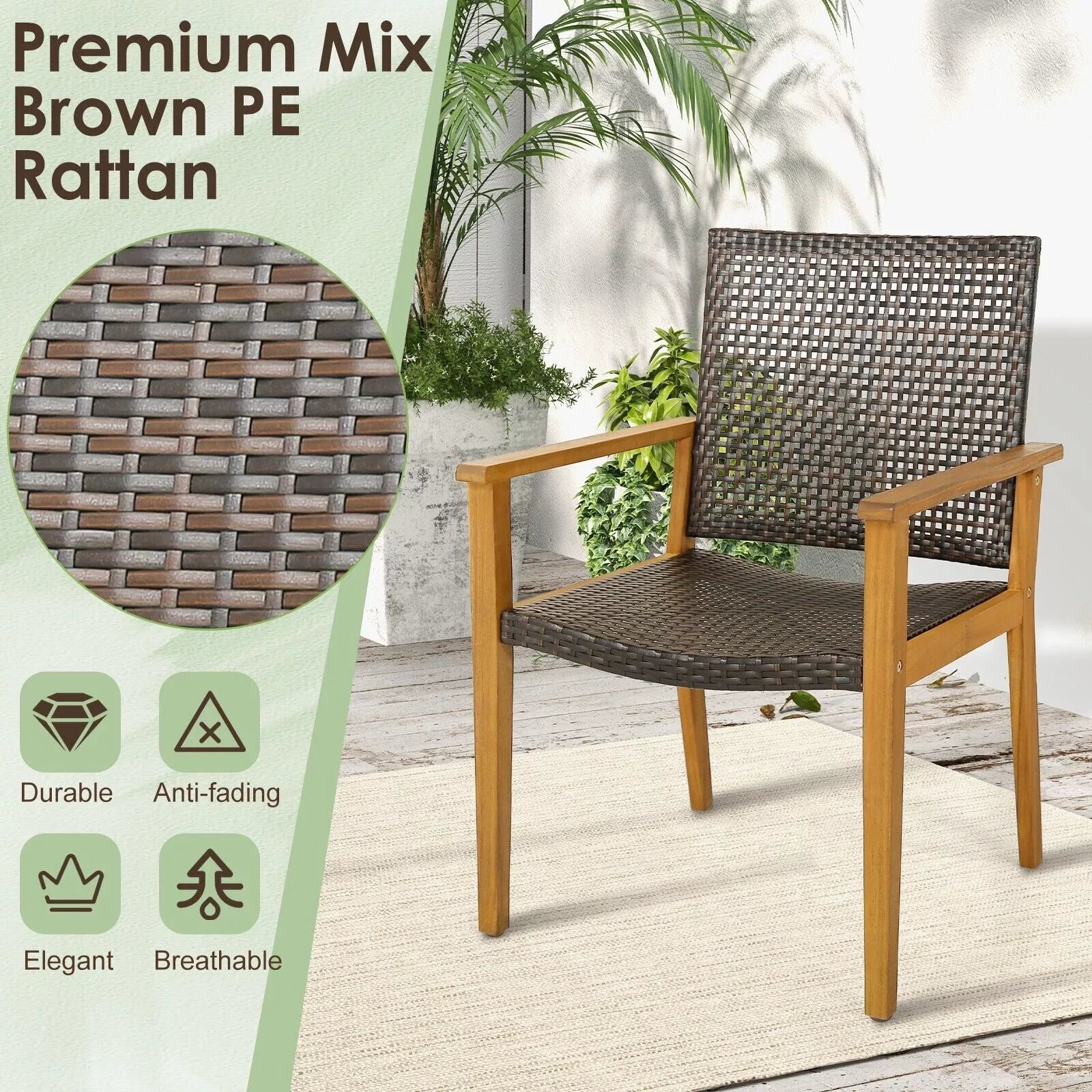Lopez Rattan Garden Chair (Set of 4)