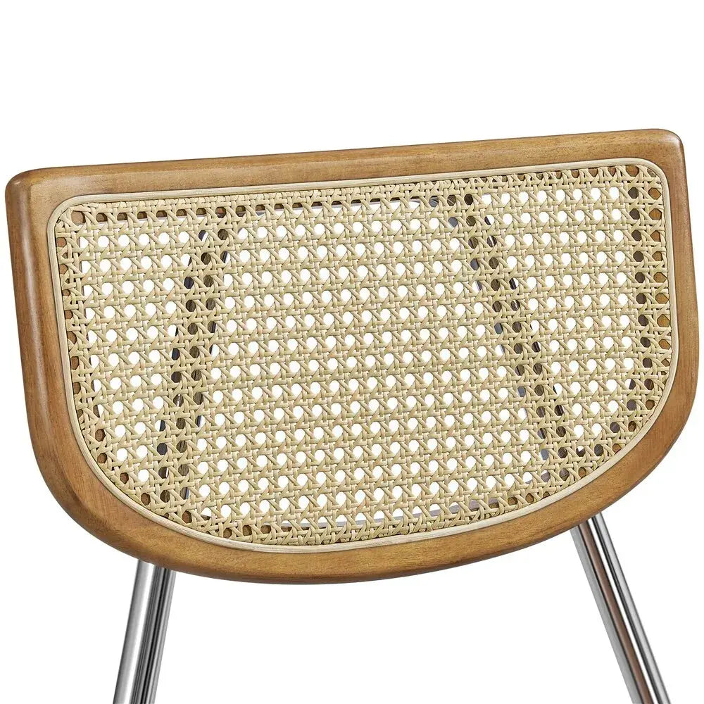Keith Mid Century Rattan Dining Chair (Set of 2)