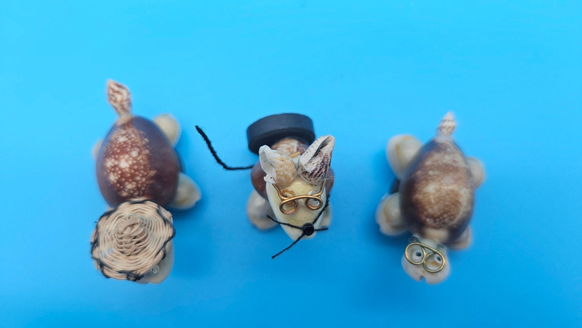 Seashell Critter Magnets – Coastal Home Decor Turtle or Kitty 1.5–2"