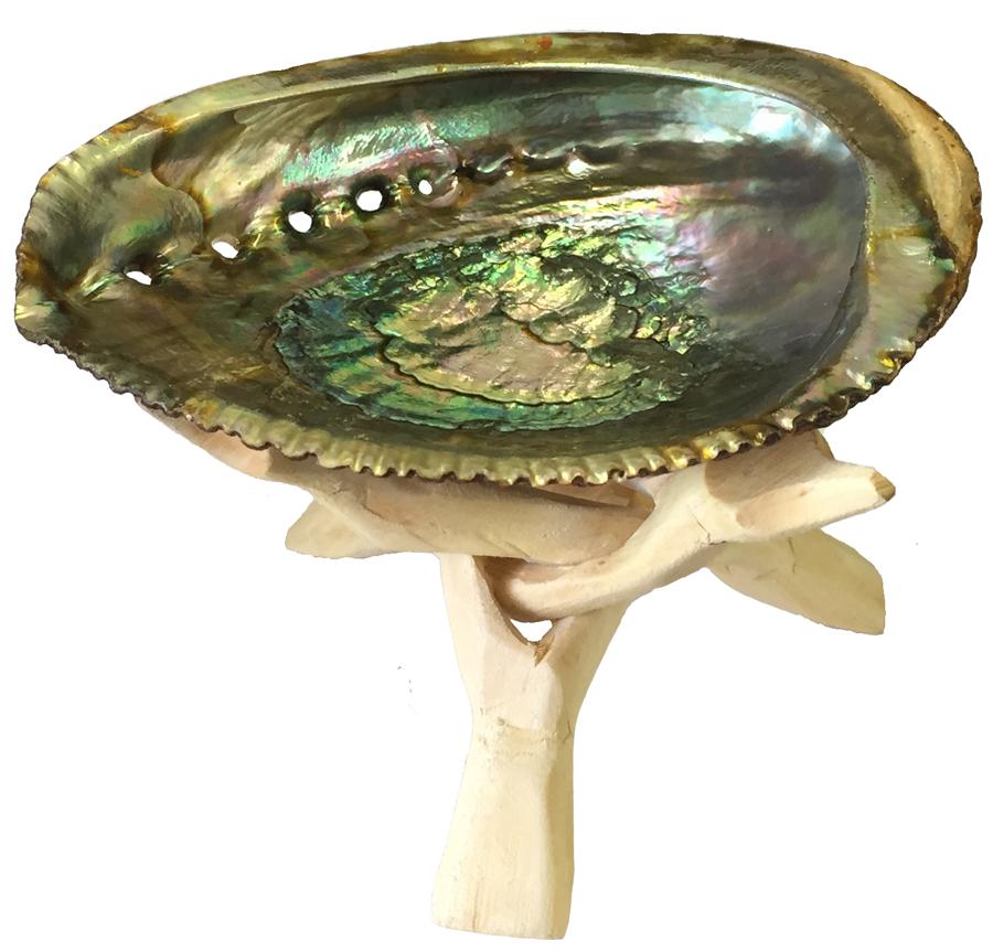 Tripod Stand for holding abalone shell-1