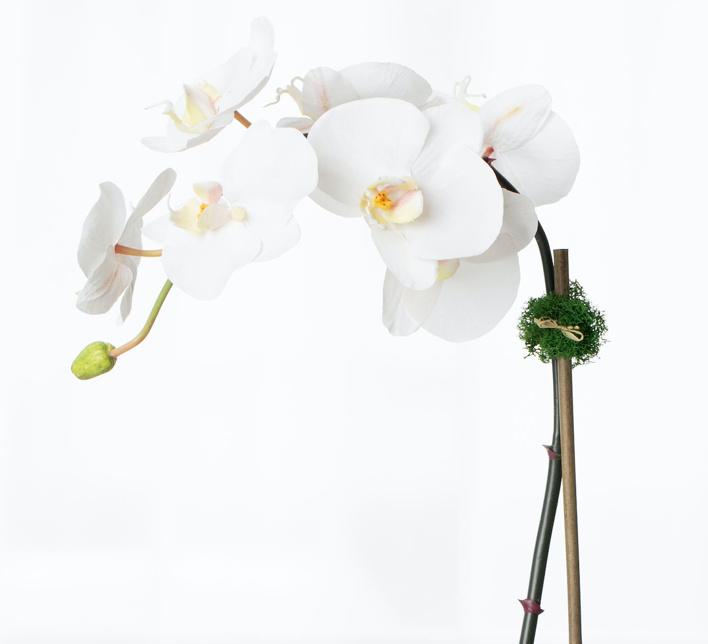 Faux Potted Orchid Plant - White Phalaenopsis Orchid in Black Pot - 21"