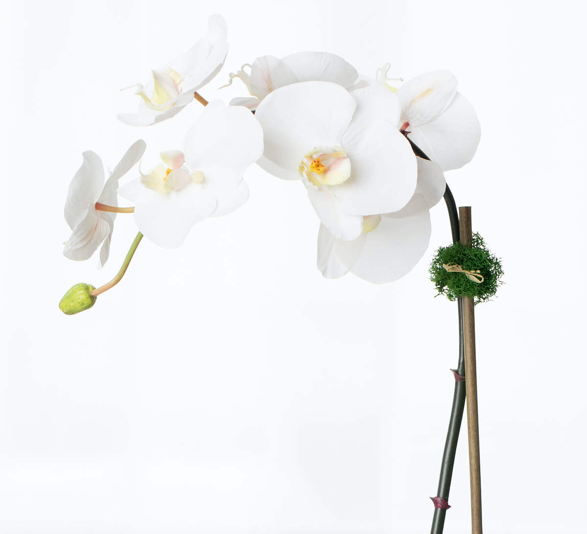Faux Potted Orchid Plant - White Phalaenopsis Orchid in Black Pot - 21"