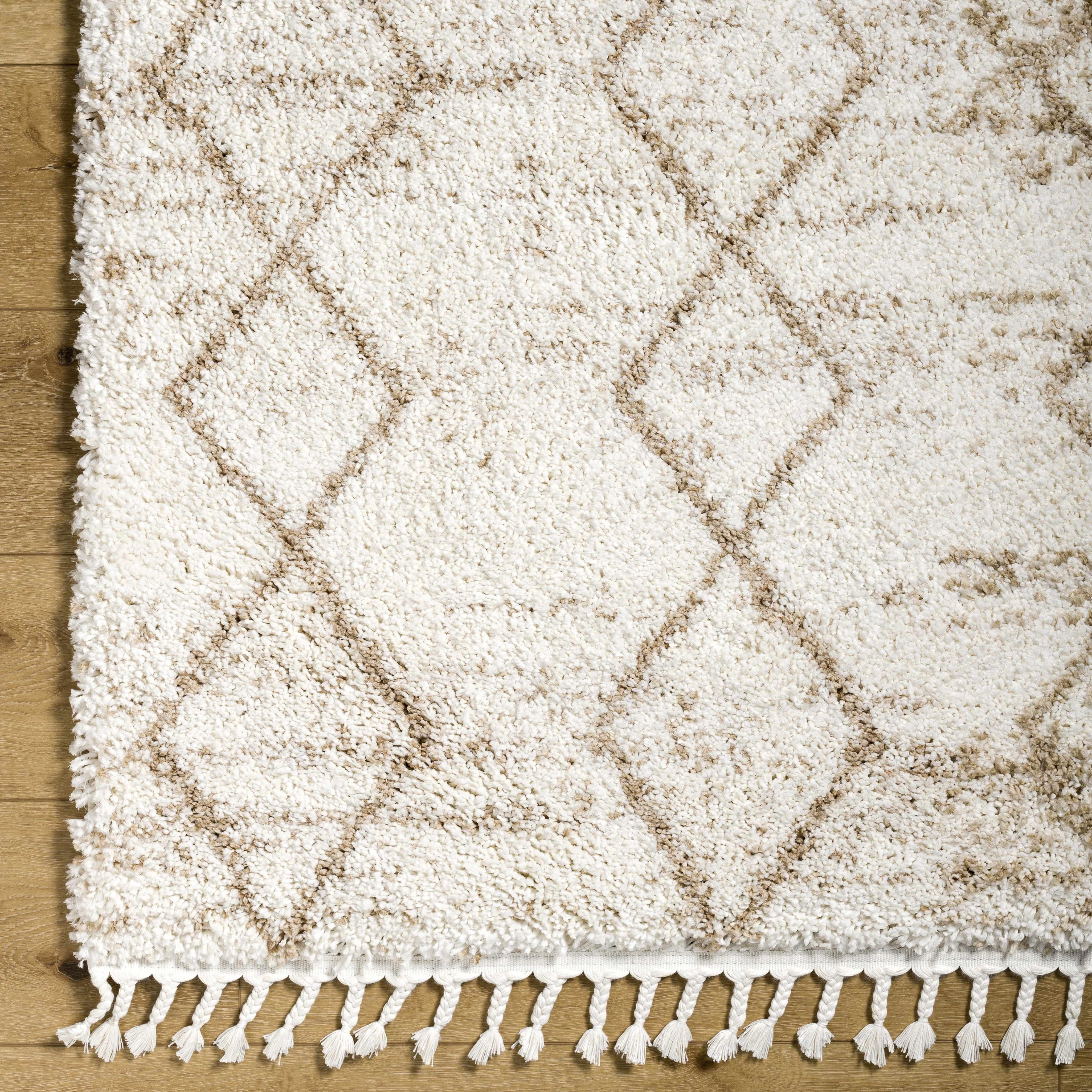 Ishan Cream Plush Rug with Tassels - PRHOMZ
