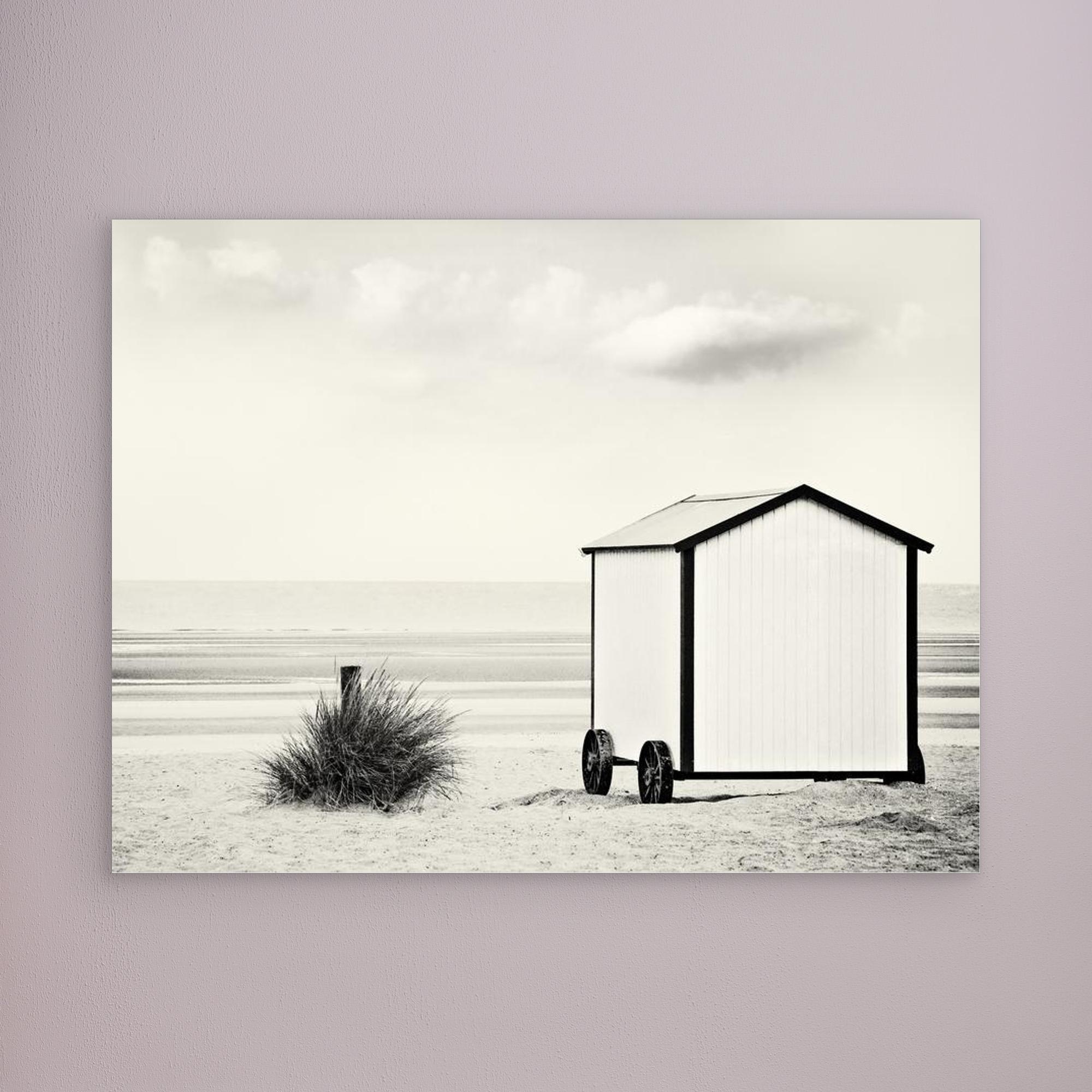 end of season by Gilbert Claes