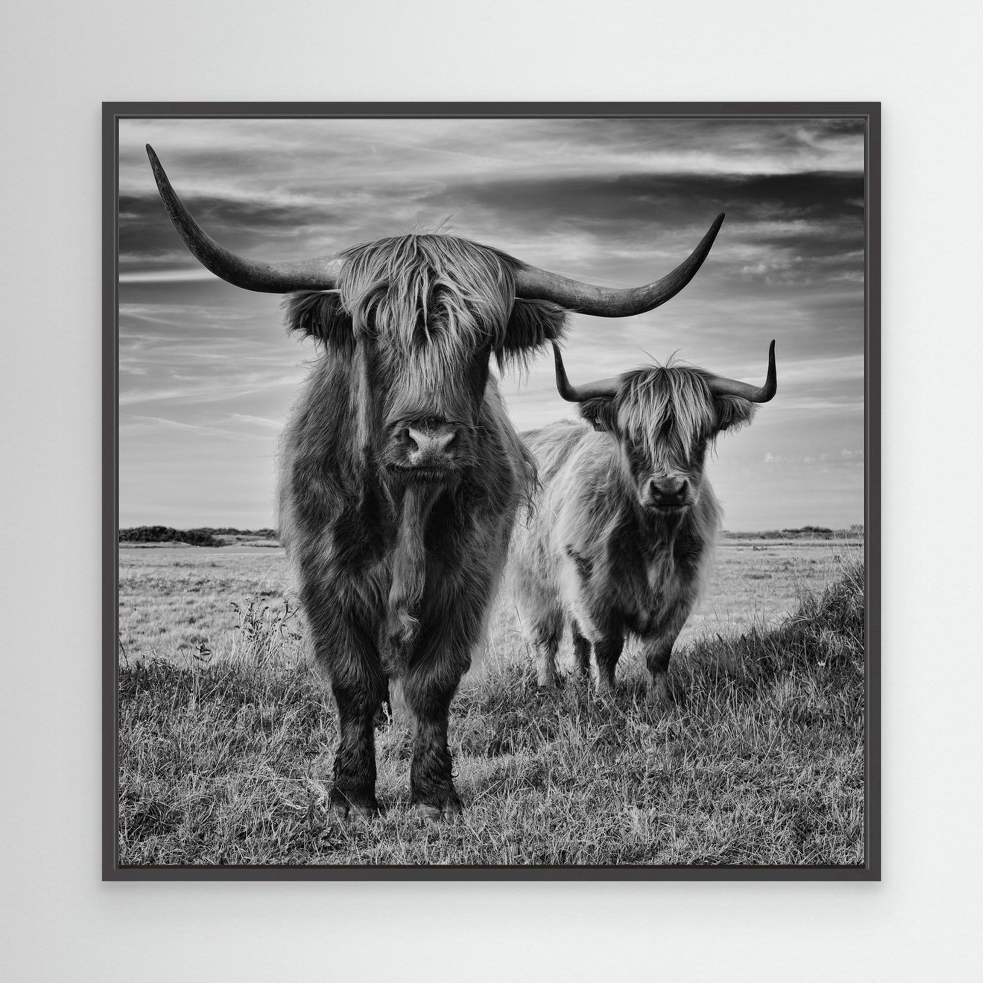 Highlands by Stéphane Pecqueux - PRHOMZ