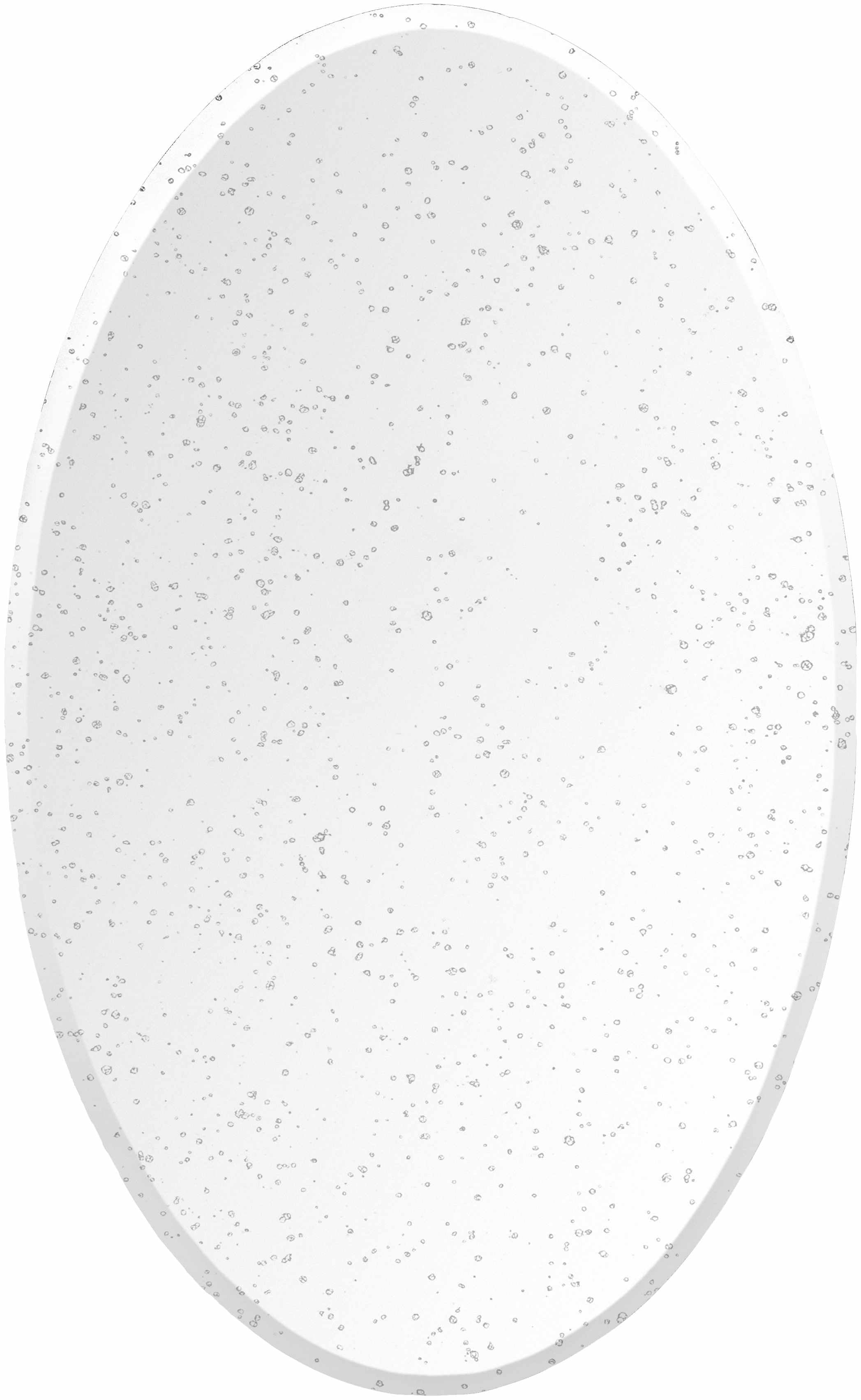 Tunga Mirror - Clearance-3