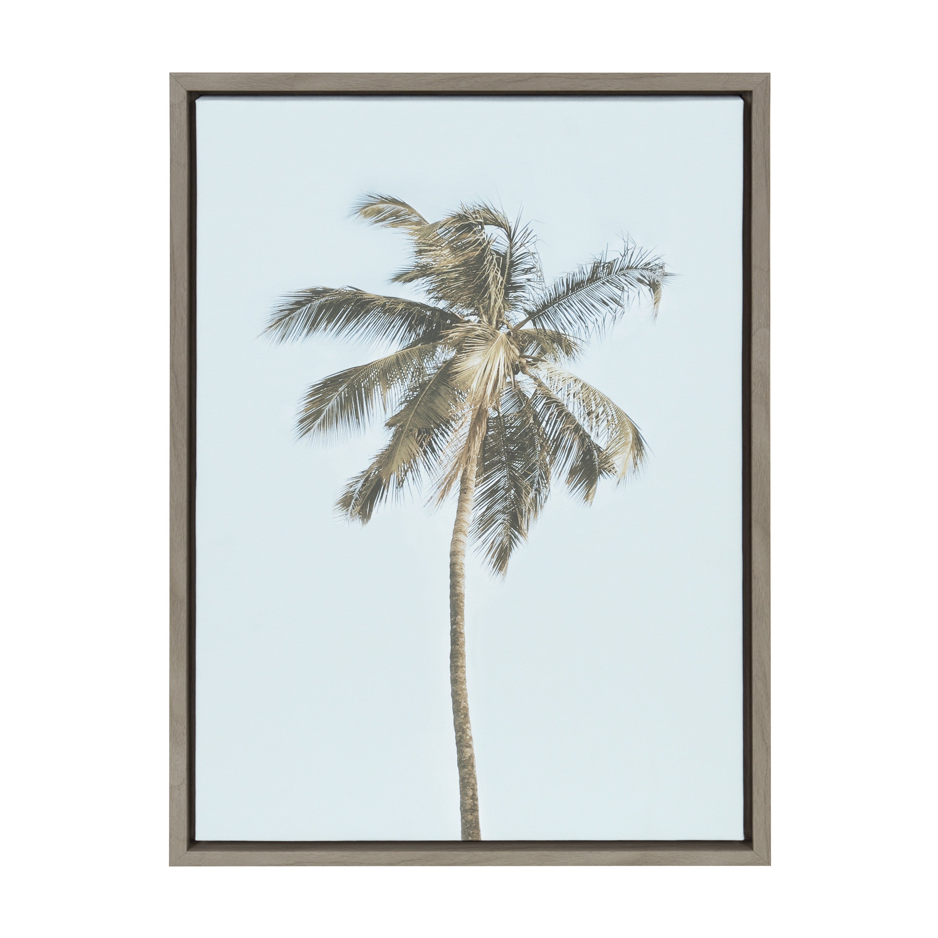 Sylvie One Coconut Palm Tree Framed Canvas by The Creative Bunch Studio