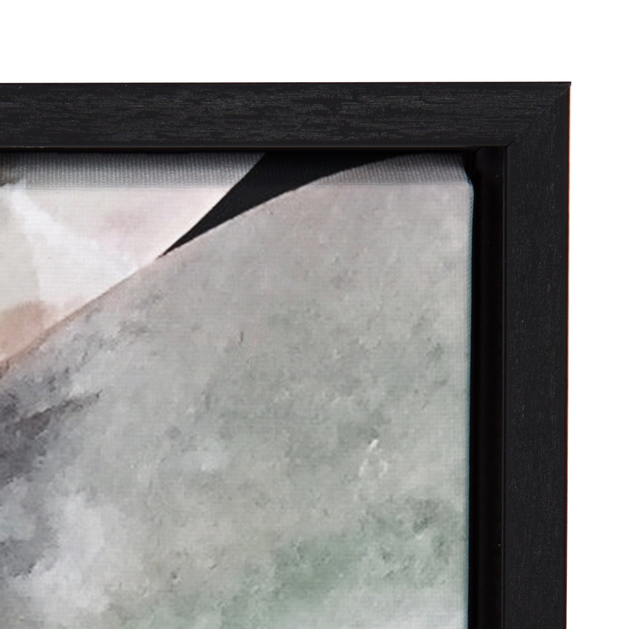 Sylvie Botanical Succulent Plants Framed Canvas Set by The Creative Bunch Studio