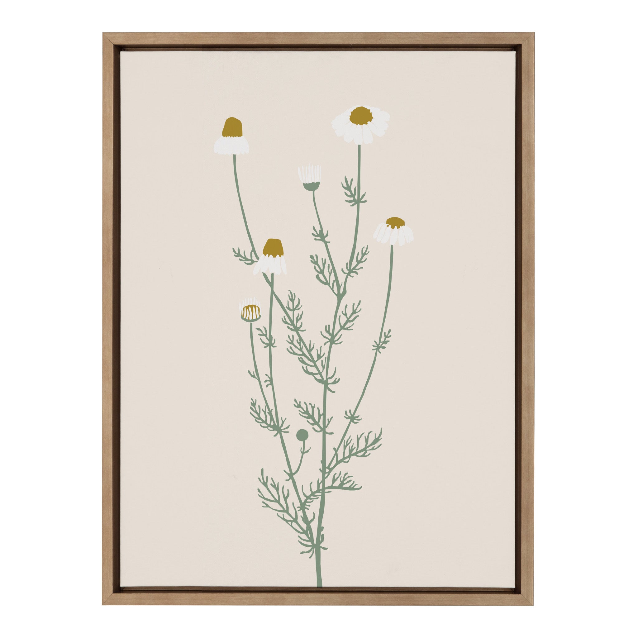 Sylvie Delicate Illustrated White Wildflowers Framed Canvas by The Creative Bunch Studio
