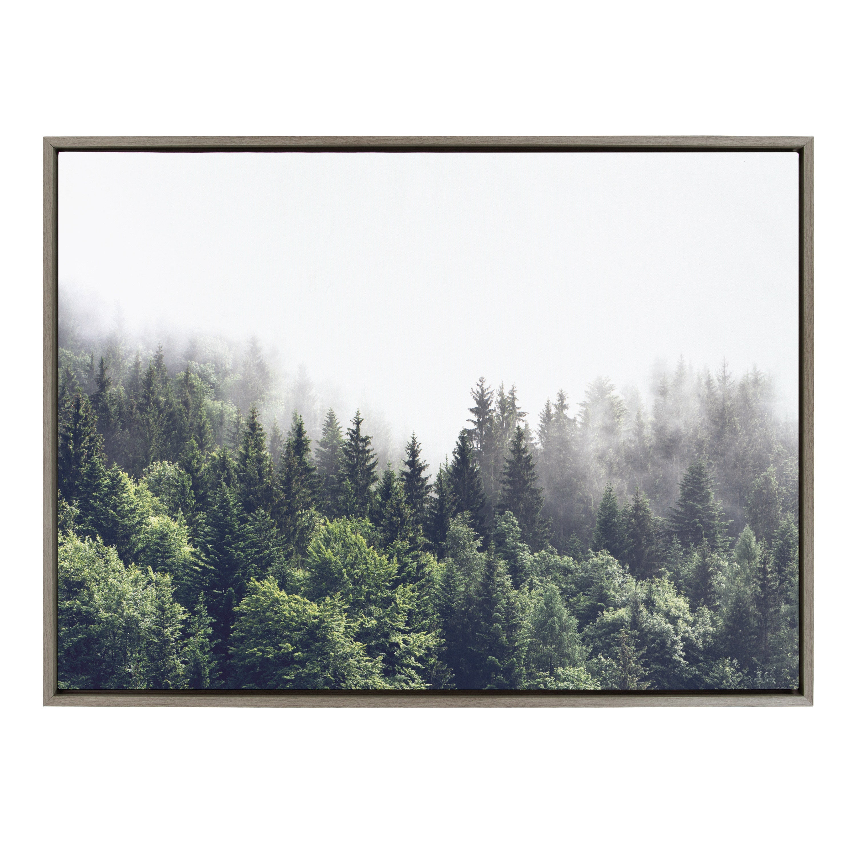 Sylvie Lush Green Forest On A Foggy Day Framed Canvas by The Creative Bunch Studio