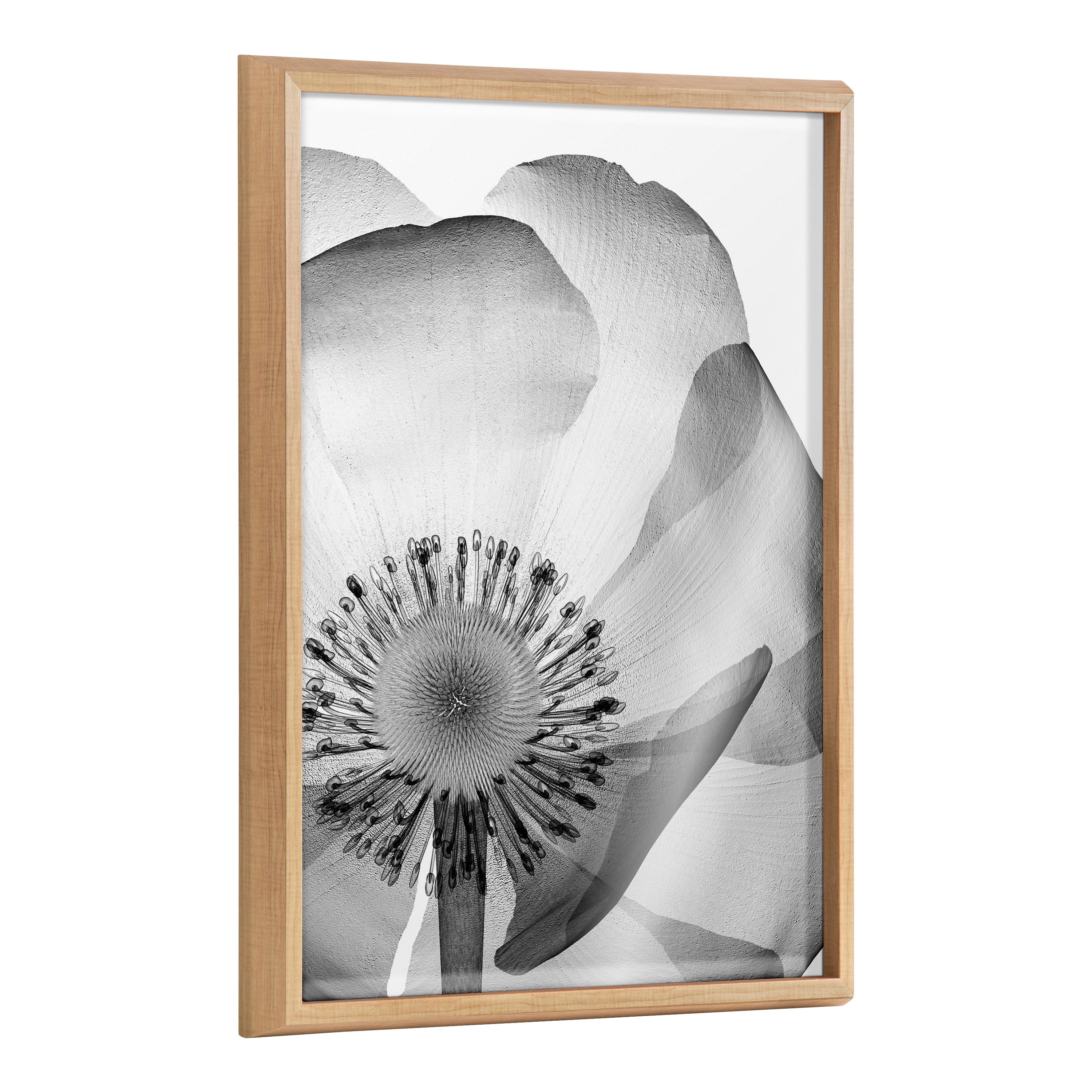 Blake Poppy X Ray Floral 2 BW Framed Printed Art by The Creative Bunch Studio