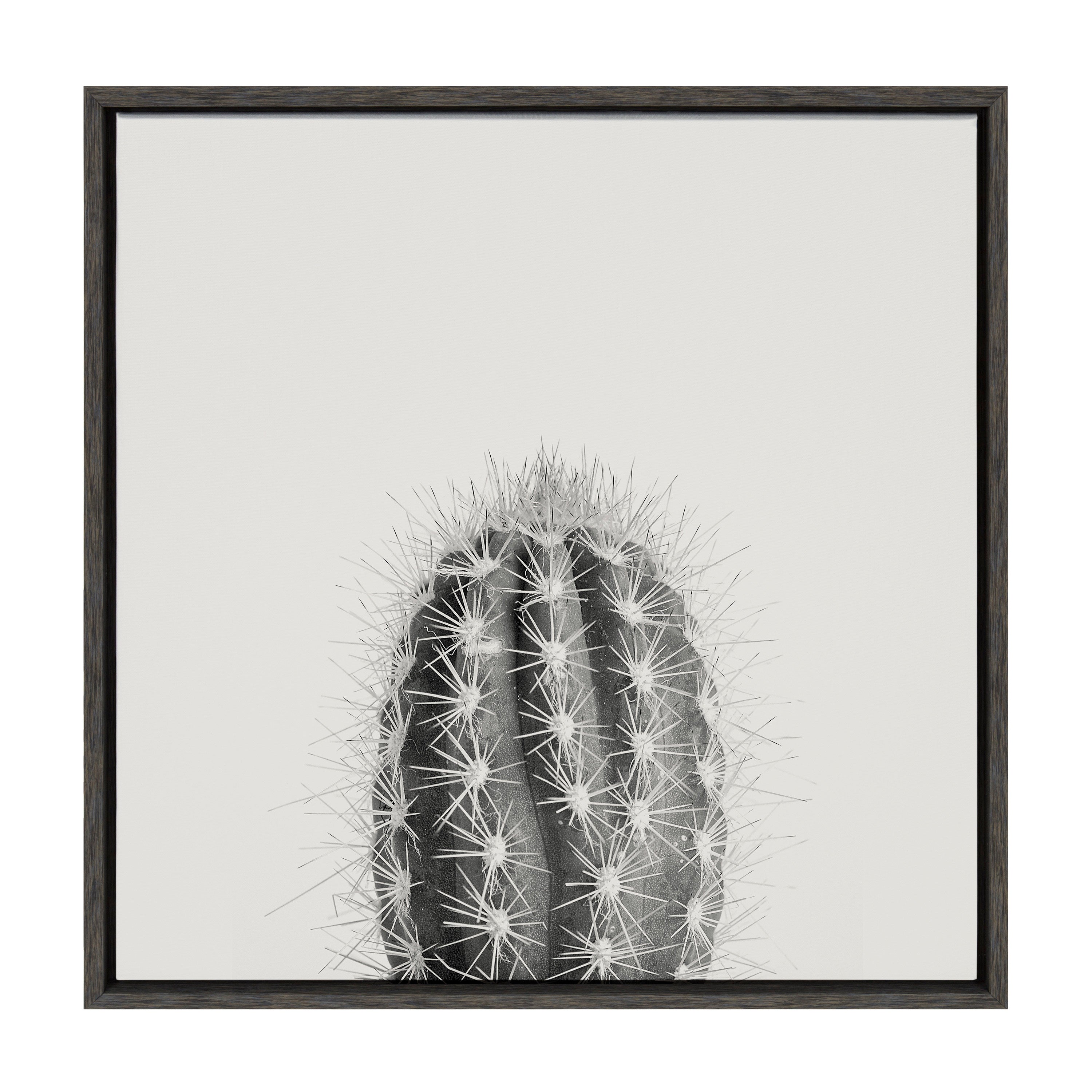 Sylvie Haze Cactus Succulent Tall Framed Canvas by The Creative Bunch Studio