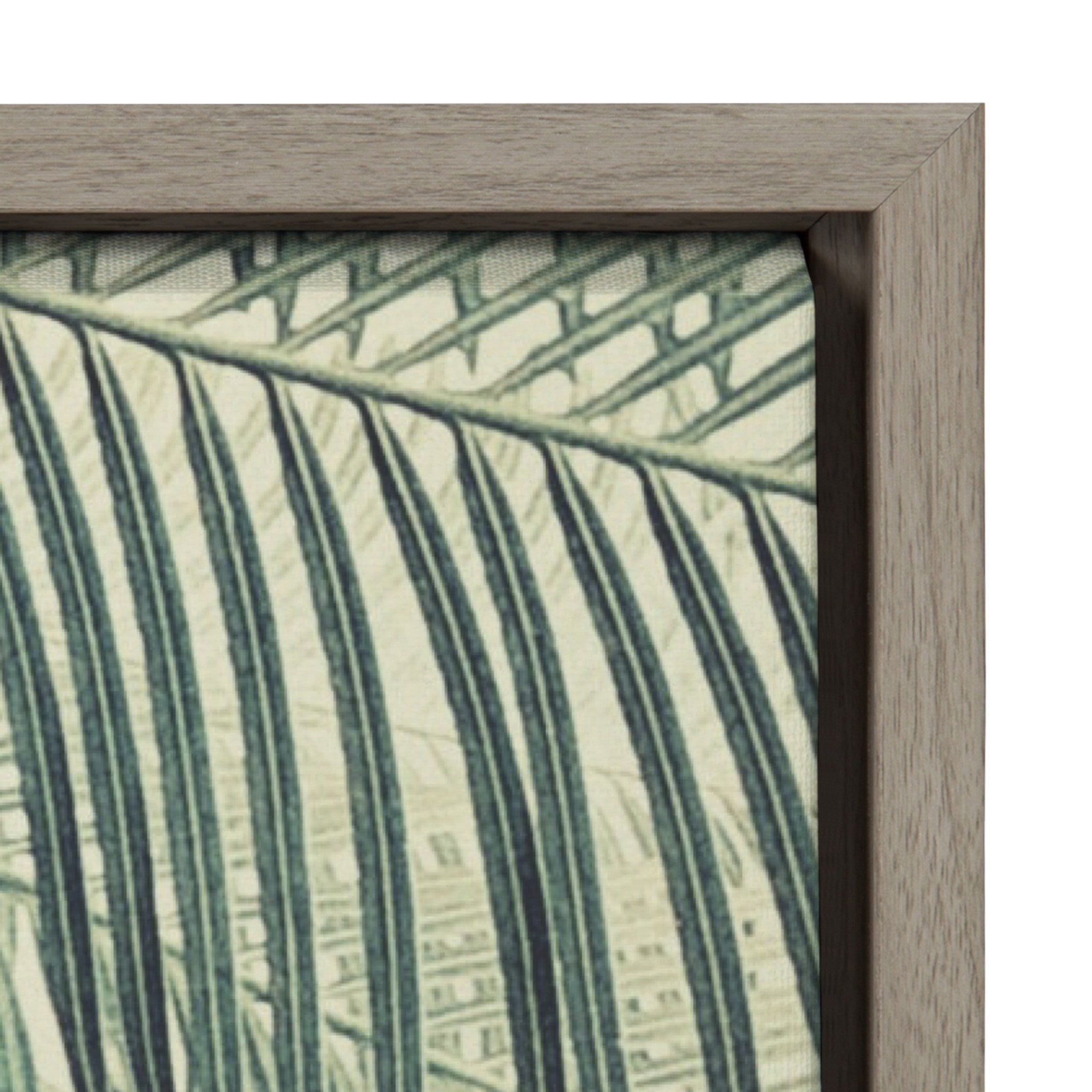 Sylvie Vintage Tropical Palms Good Vibes Only Framed Canvas by The Creative Bunch Studio