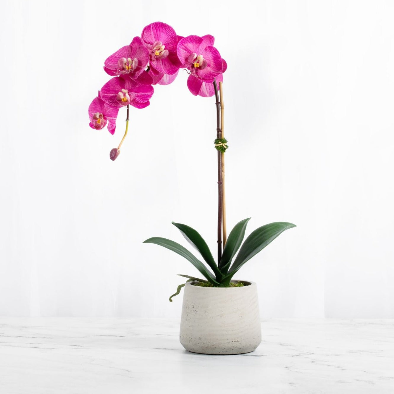 Real Touch Orchid Plant Pink Orchid in Beige Pot-0