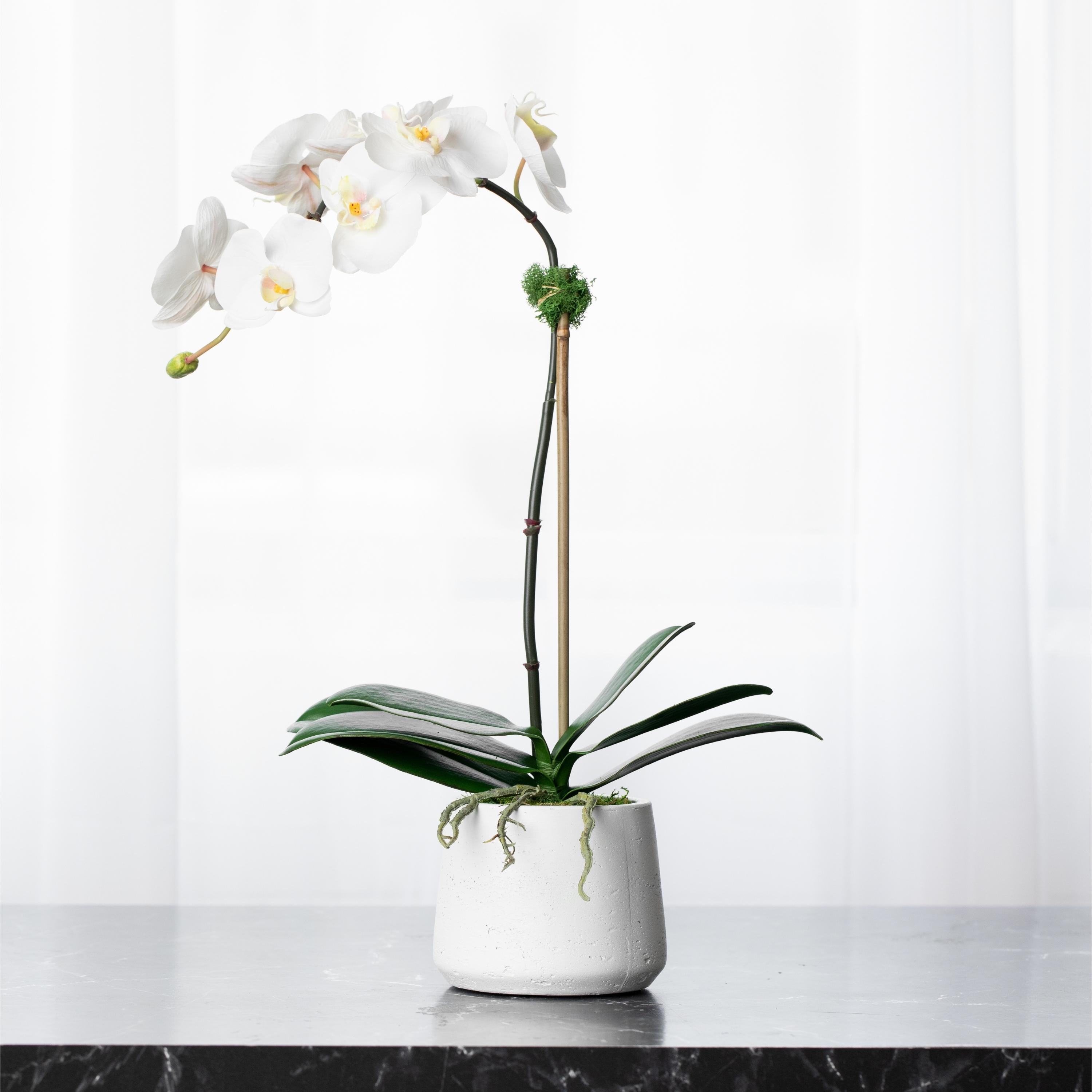 Artificial orchid plant - white orchid in white pot - 21"