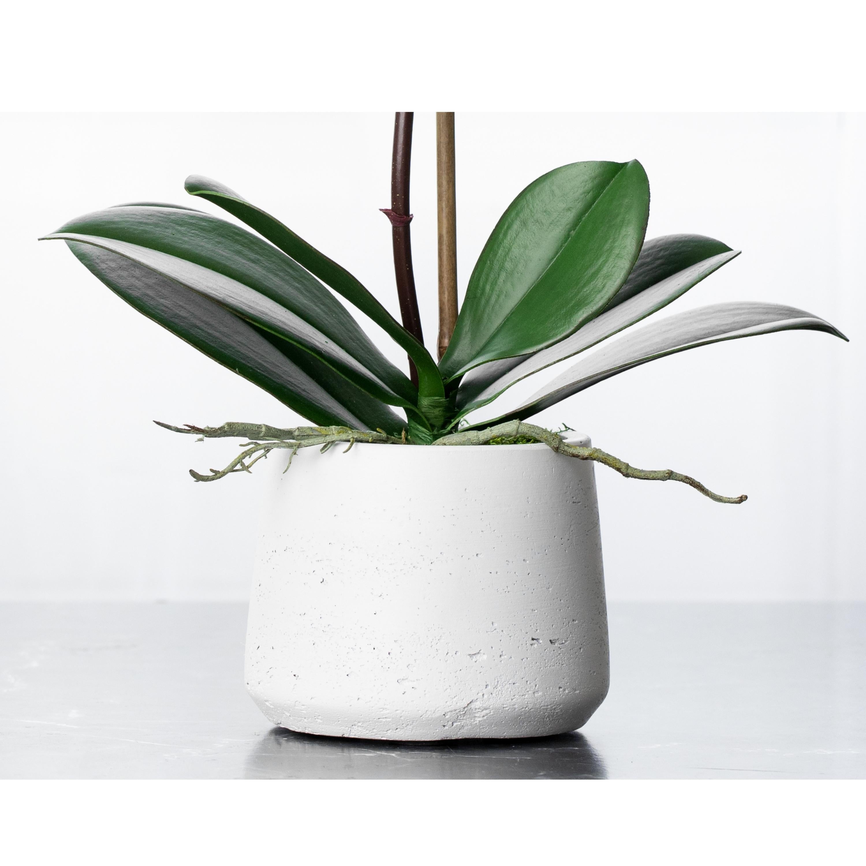 Artificial orchid plant - white orchid in white pot - 21"-4