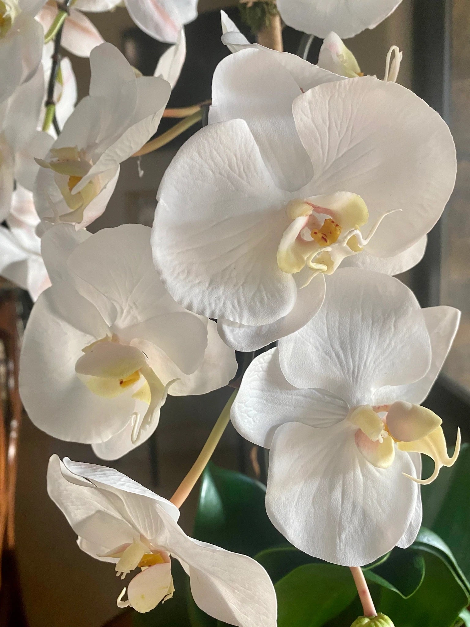 Faux Potted Orchid Plant - White Phalaenopsis Orchid in Black Pot - 21"
