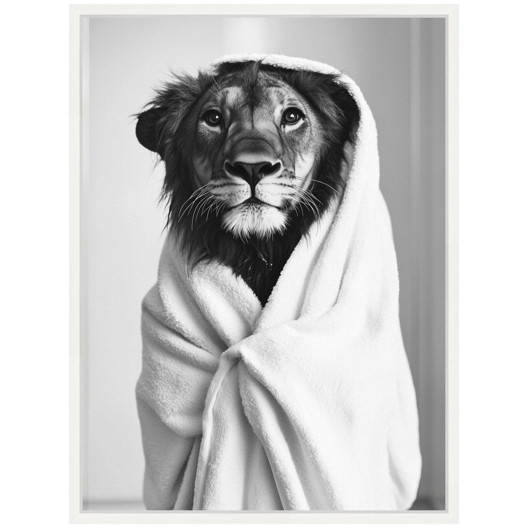 Sylvie Lioness Bathroom Art Towel Robe Black and White Framed Canvas by The Creative Bunch Studio