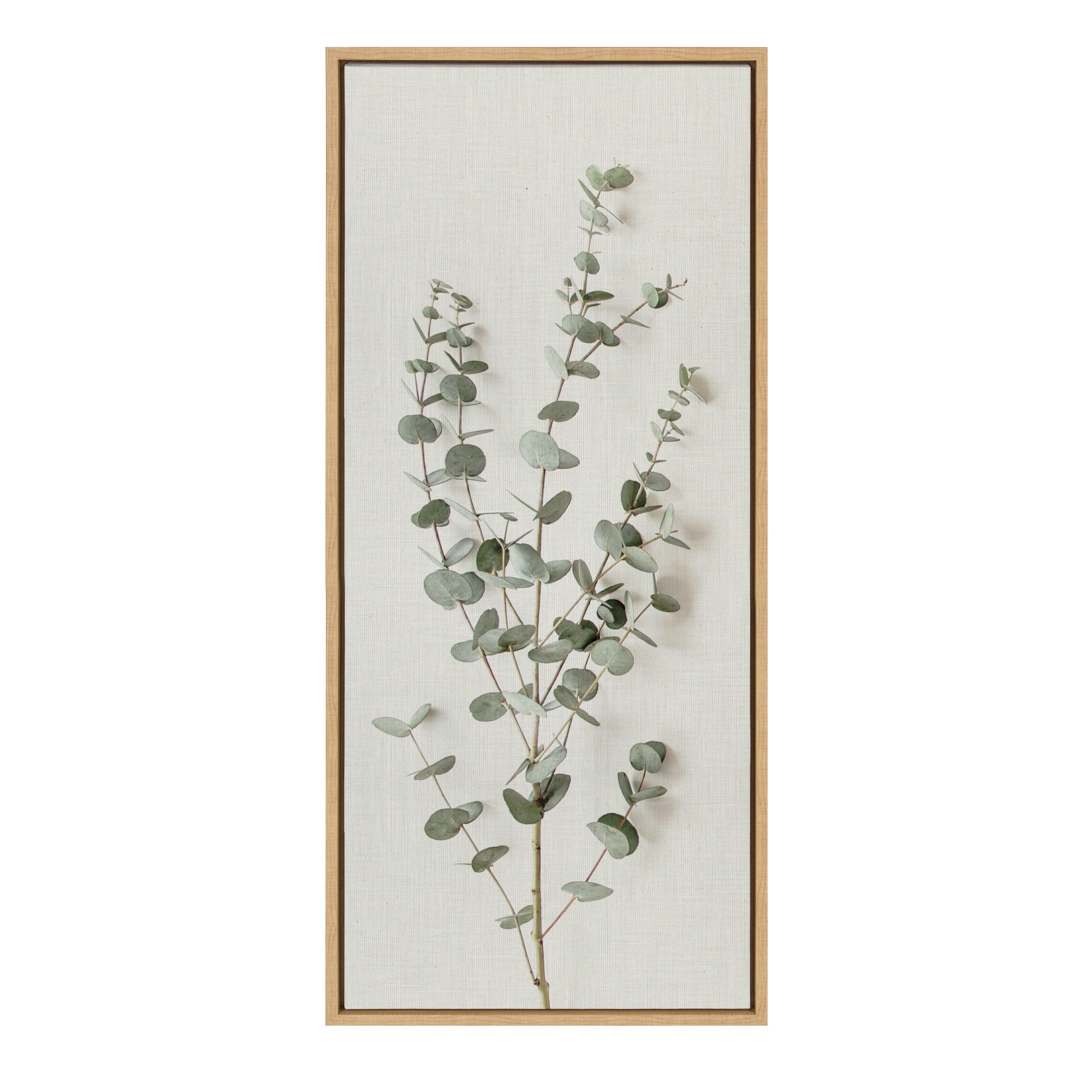 Sylvie Eucalyptus Botanical I Framed Canvas by The Creative Bunch Studio