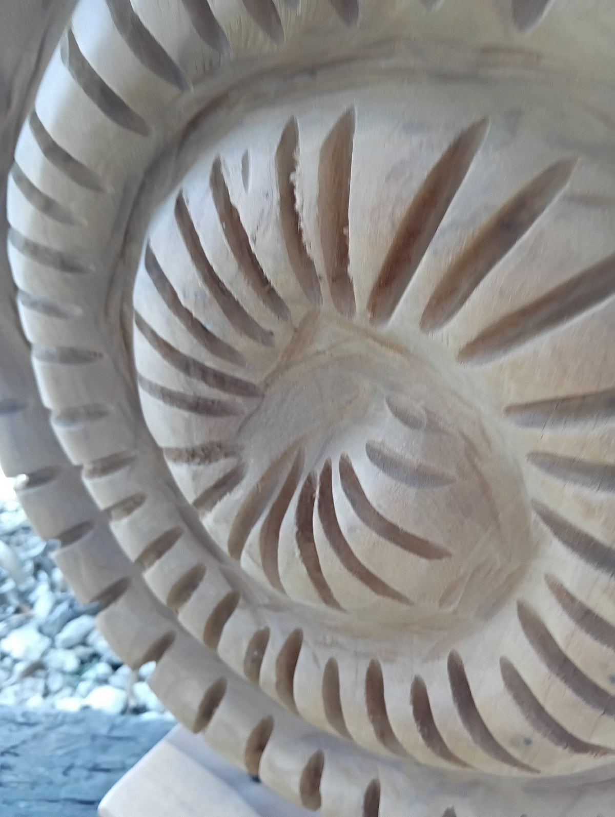 Wooden Ammonite Fossil Teak Sculpture – Coastal Carved Spiral Décor on Stand
