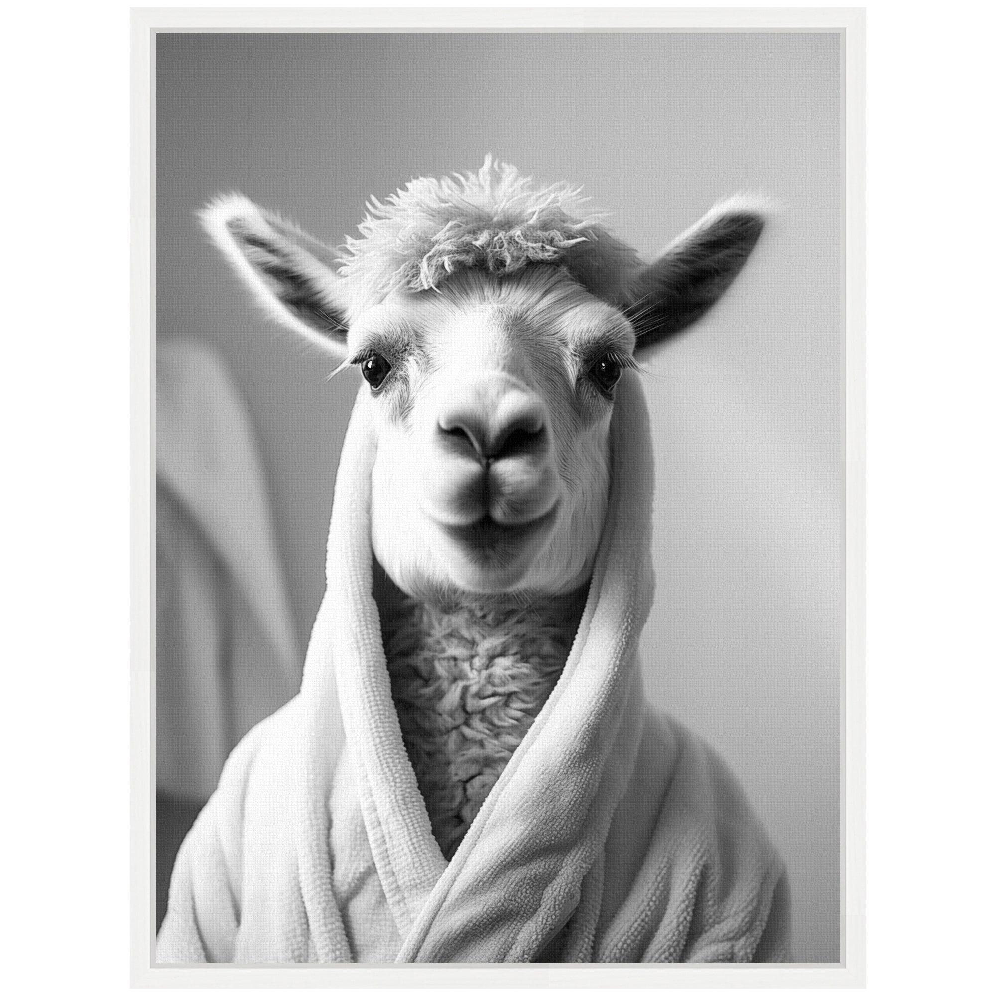 Sylvie Llama Bathroom Art Towel Robe Black and White Framed Canvas by The Creative Bunch Studio