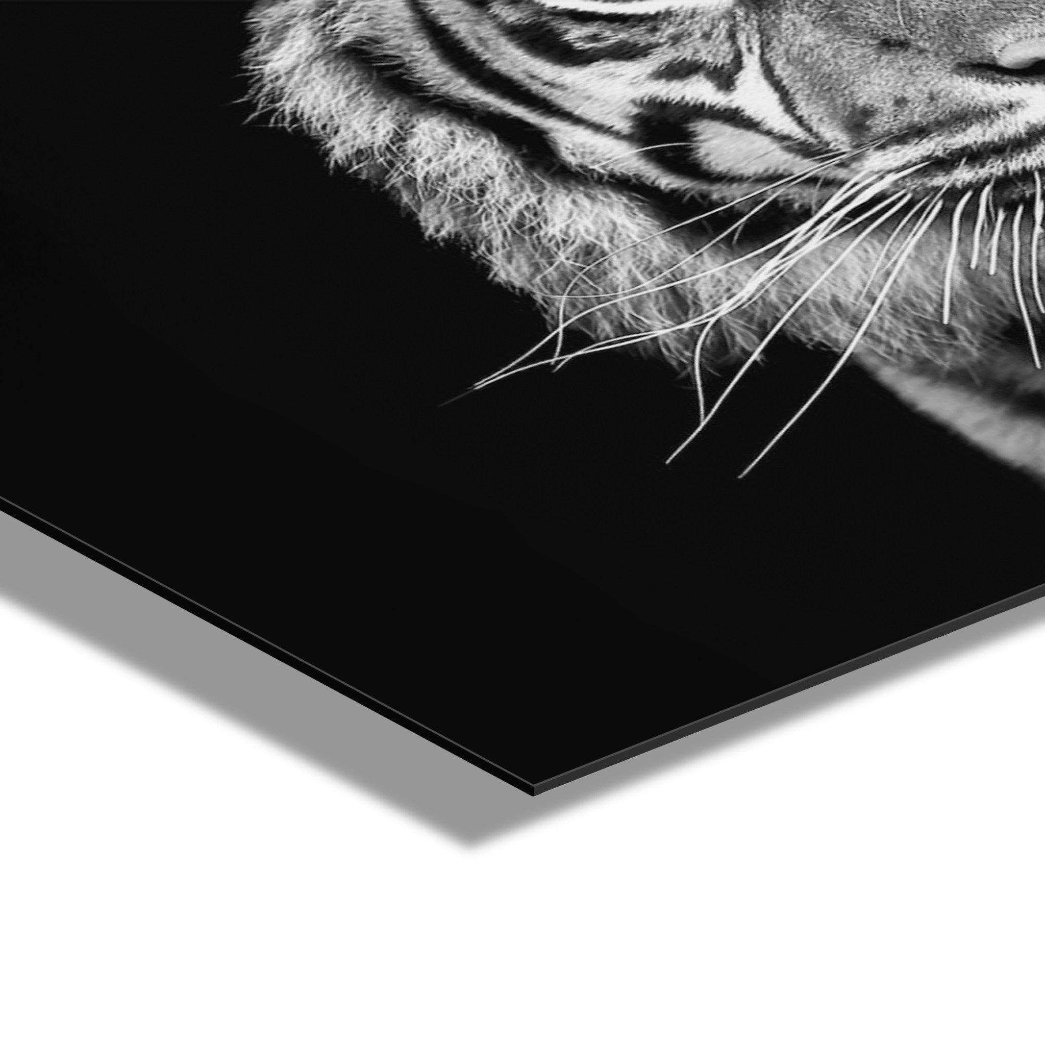 Tiger Minimalist Animal Portrait on Black Close Crop Floating Acrylic Art by The Creative Bunch Studio