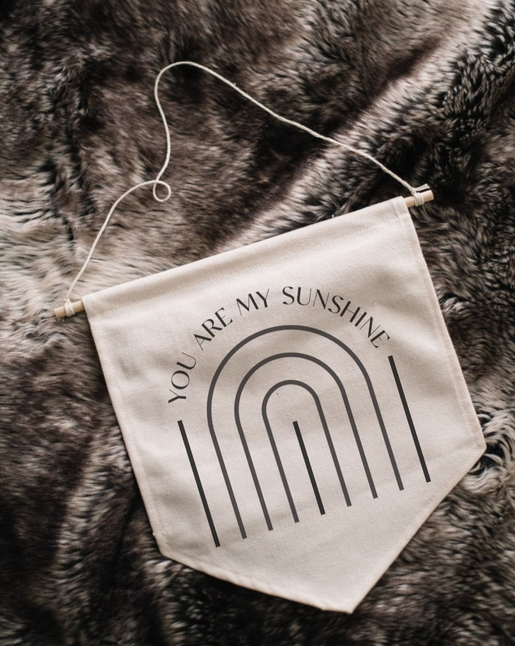 You Are My Sunshine Canvas Banner-3