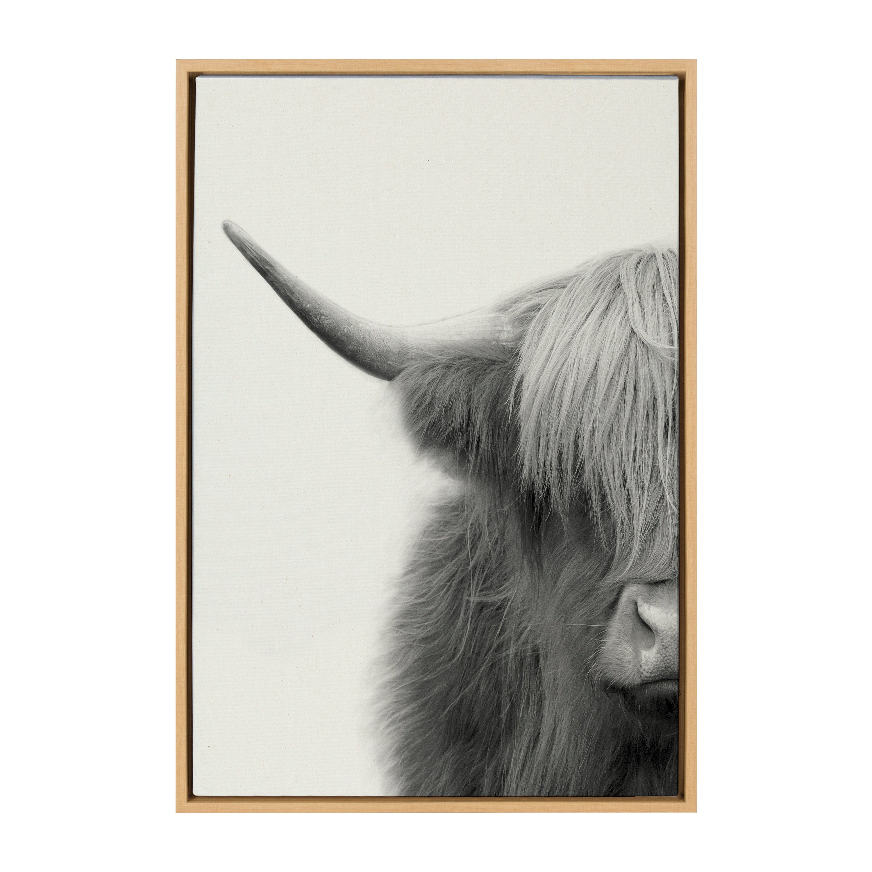 Sylvie Hey Dude Highland Cow Crop Framed Canvas by The Creative Bunch Studio