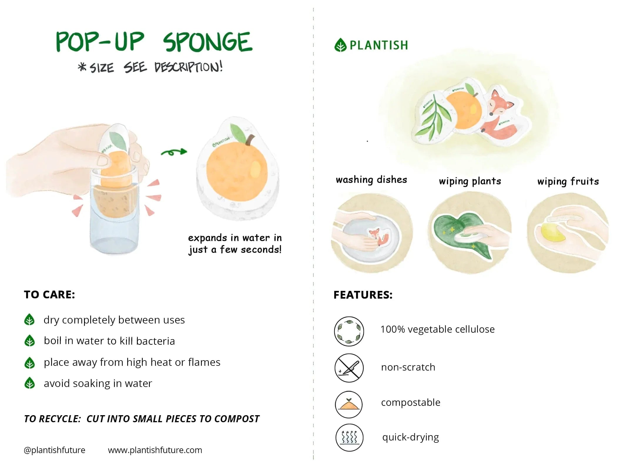 Orange You Glad - Pop up Sponge-3