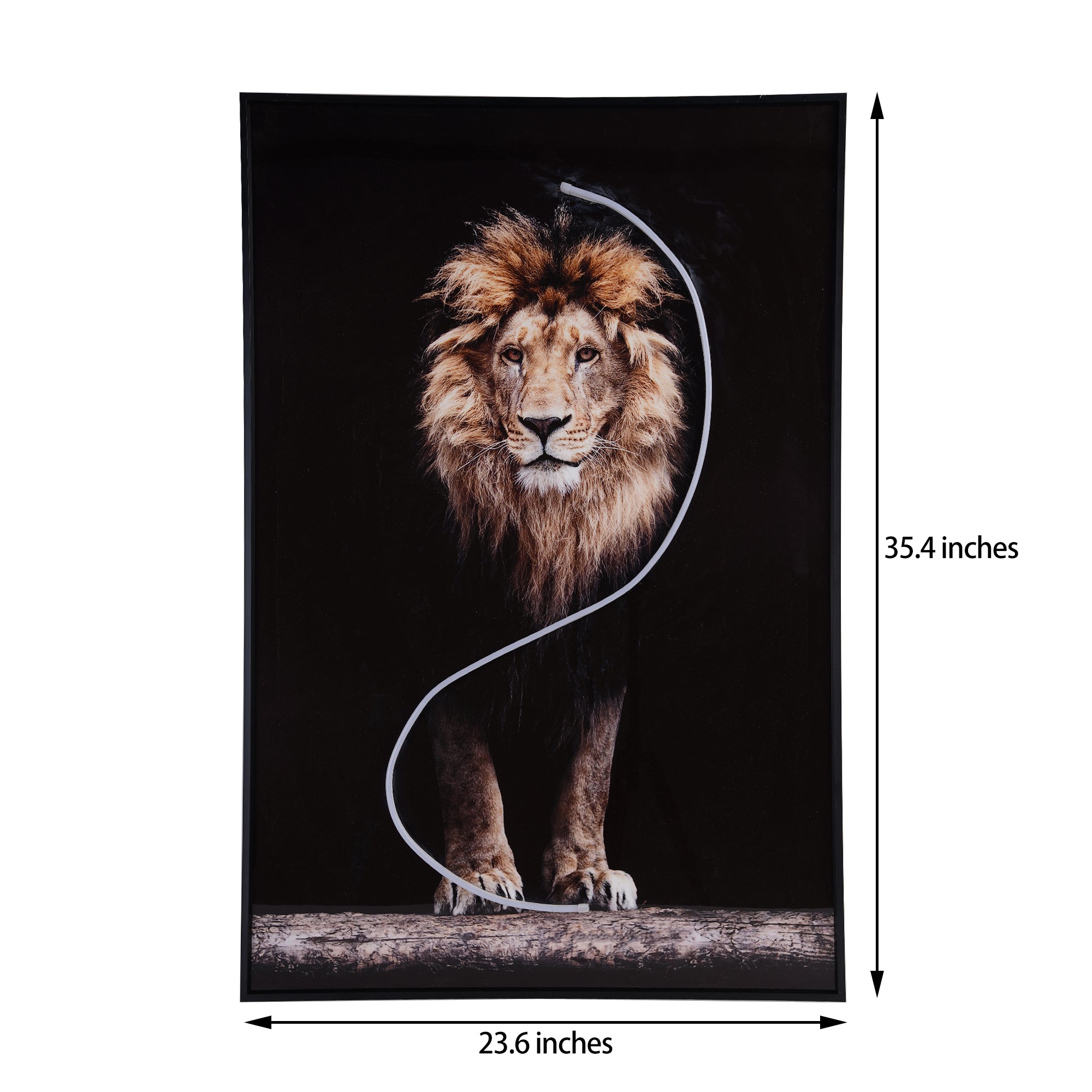 Lion Wall Art with LED Light-3